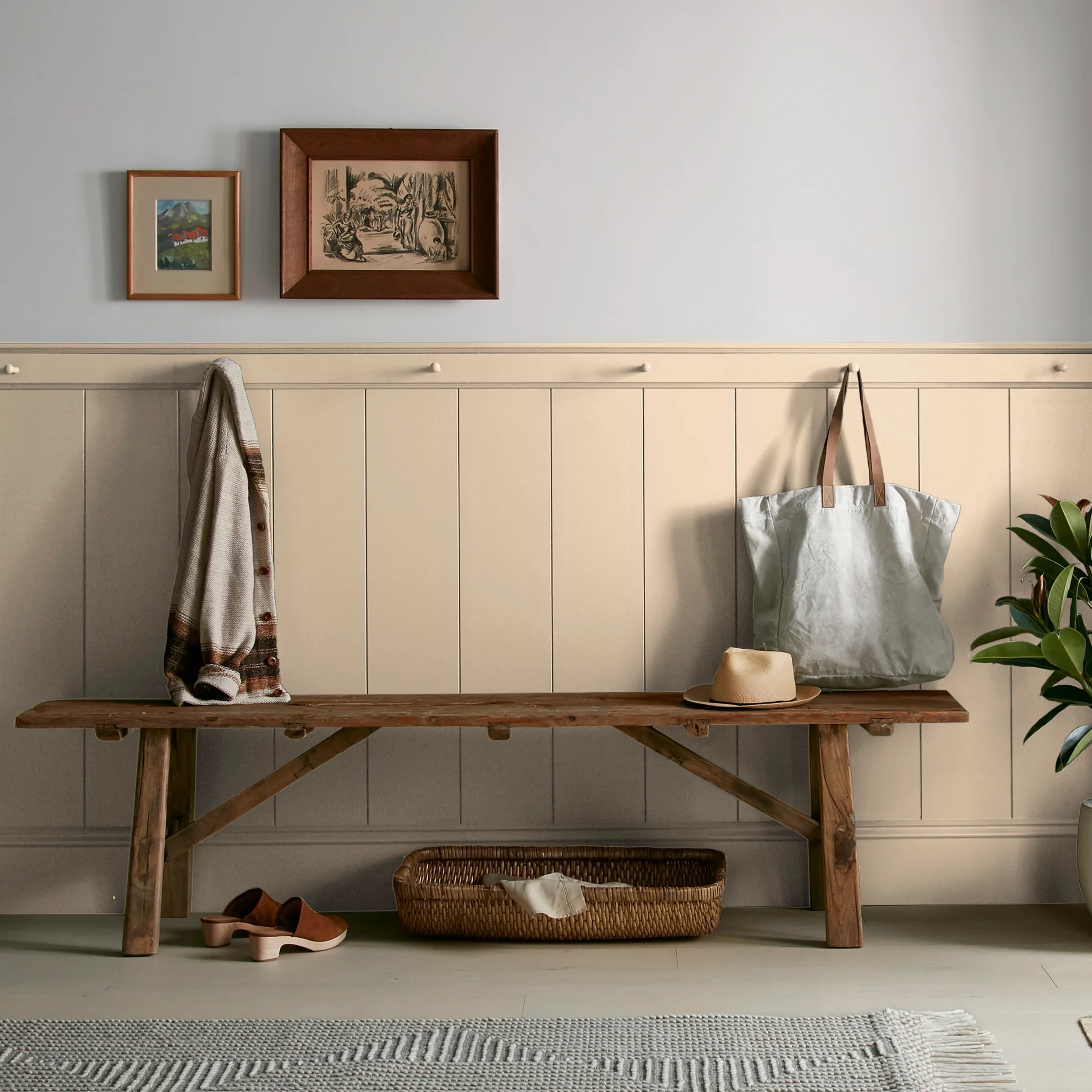 Ambient Light - Classic Interior Paint - Image 6