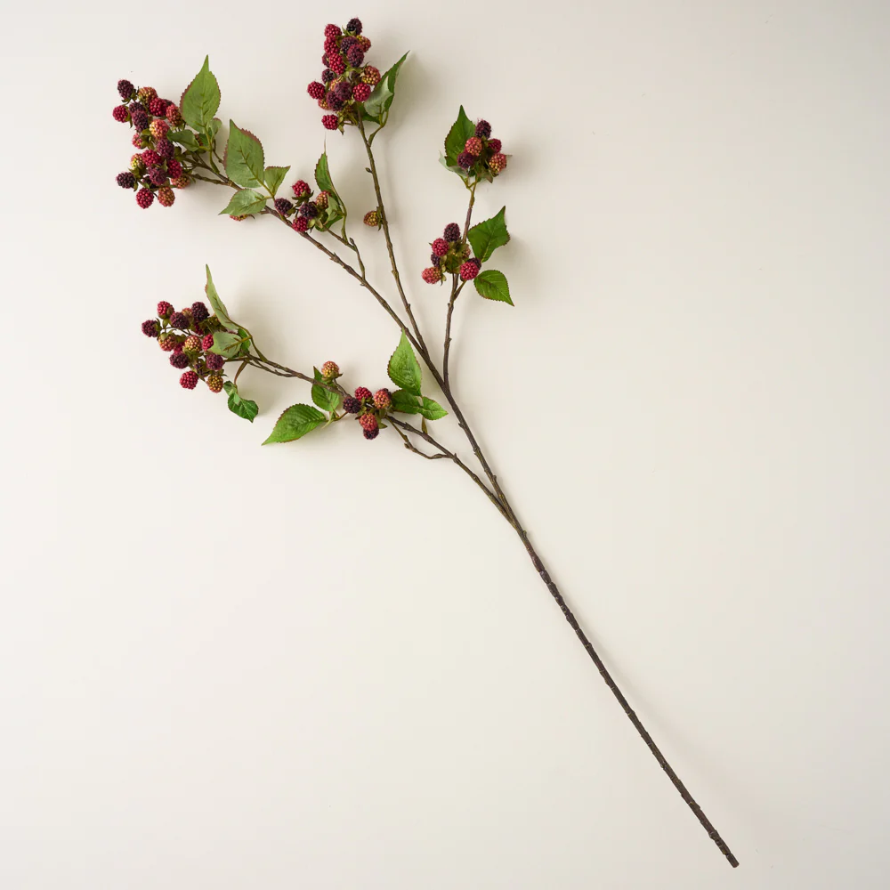 Blackberry Vine Stem - Image 2