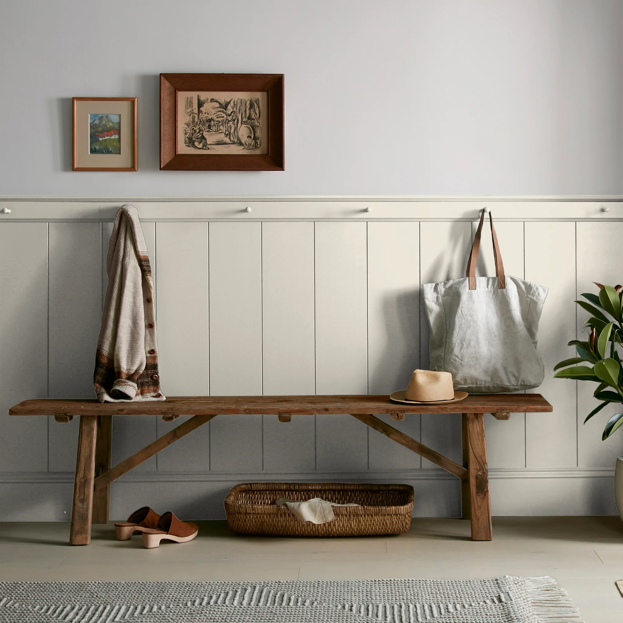 Blanched - Premium Interior Paint - Image 6