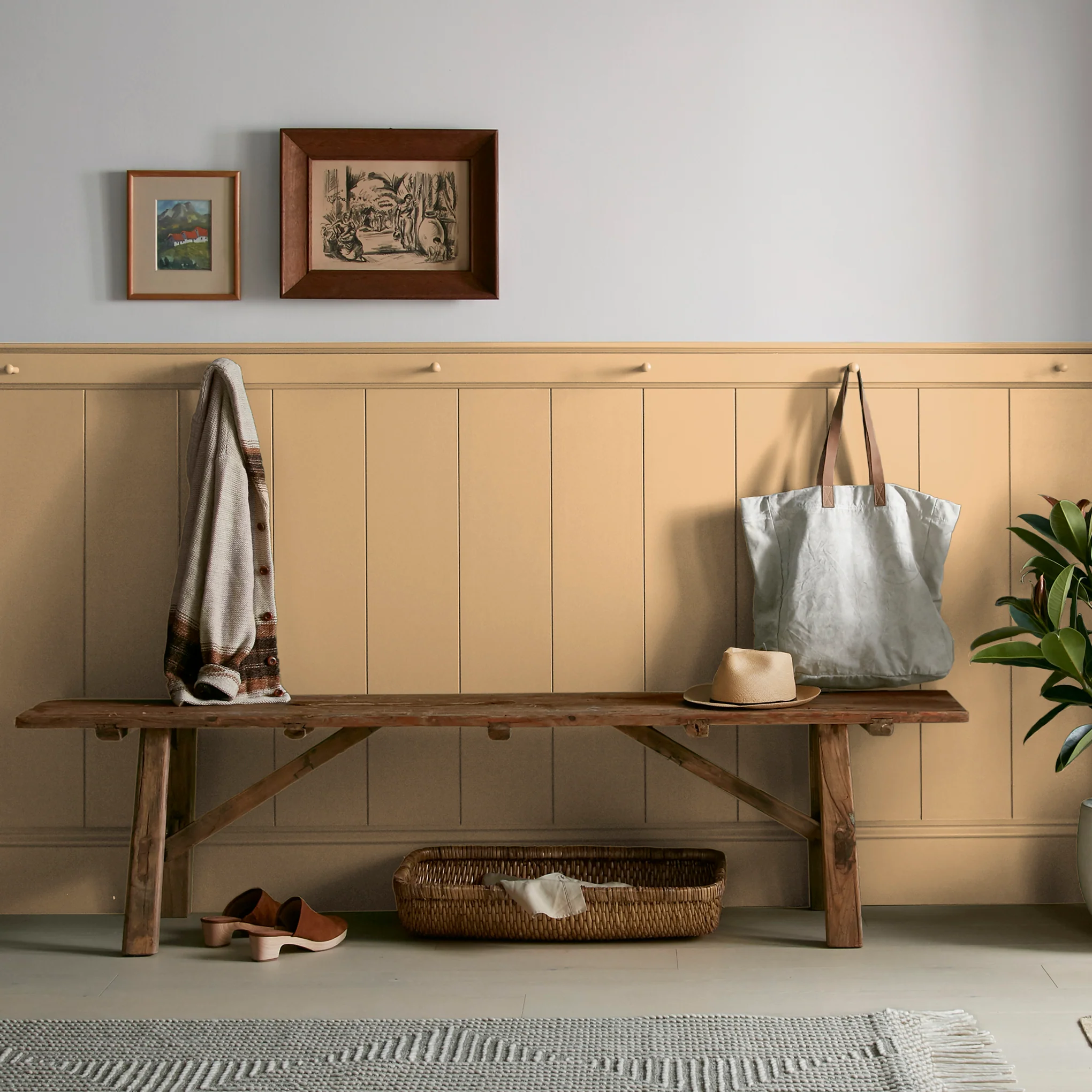 Bright Days  -  Premium Interior Paint - Image 6
