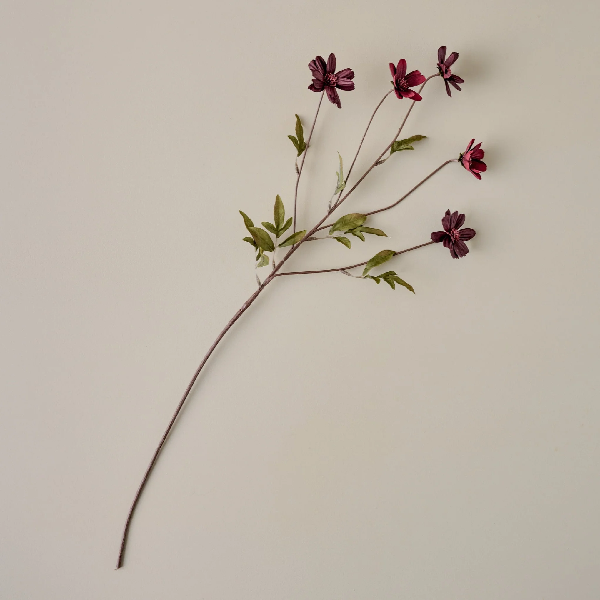 Burgundy Cosmos Stem - Image 2