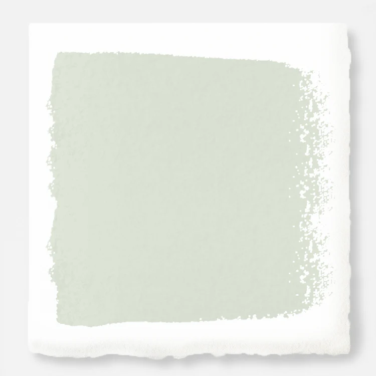Chime Gray - Premium Interior Paint