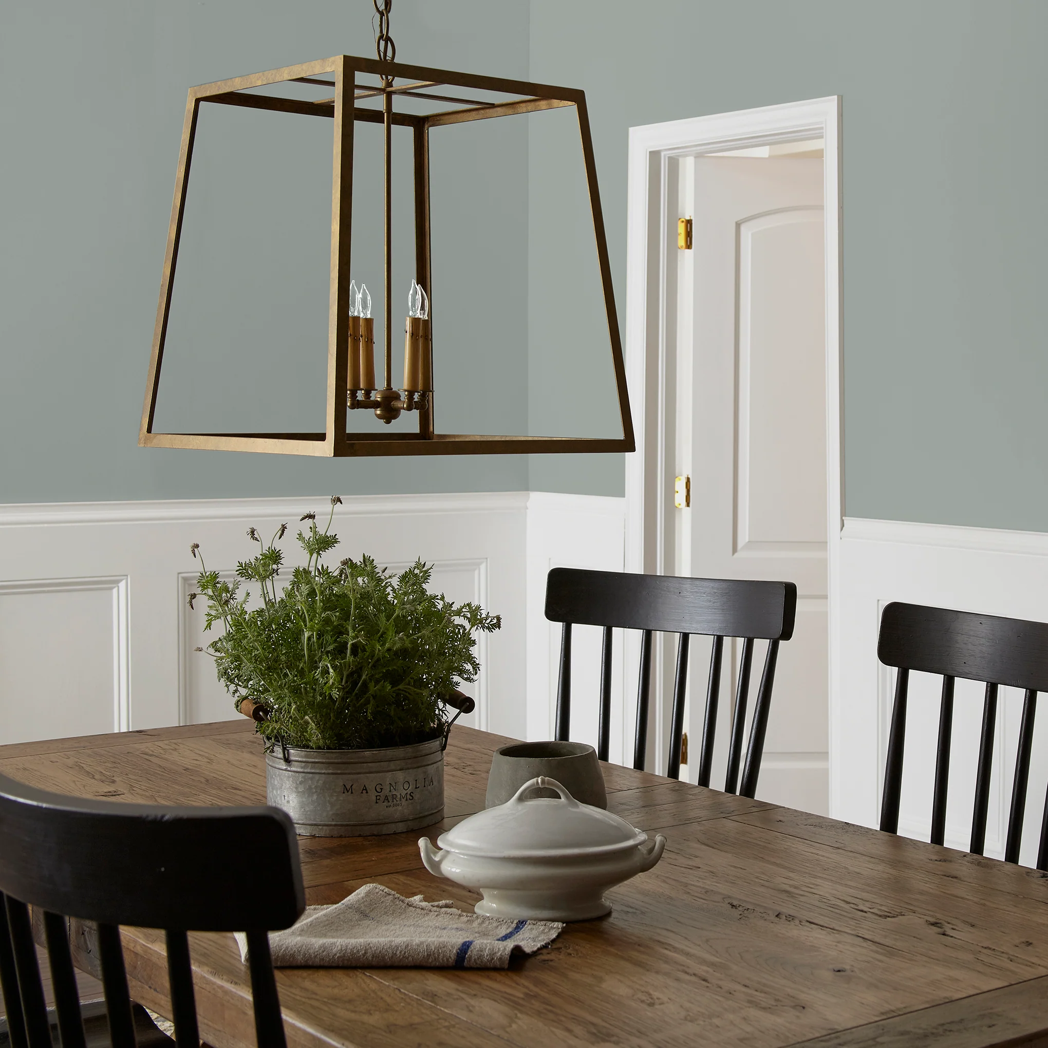 Clean Slate  -  Premium Interior Paint - Image 5