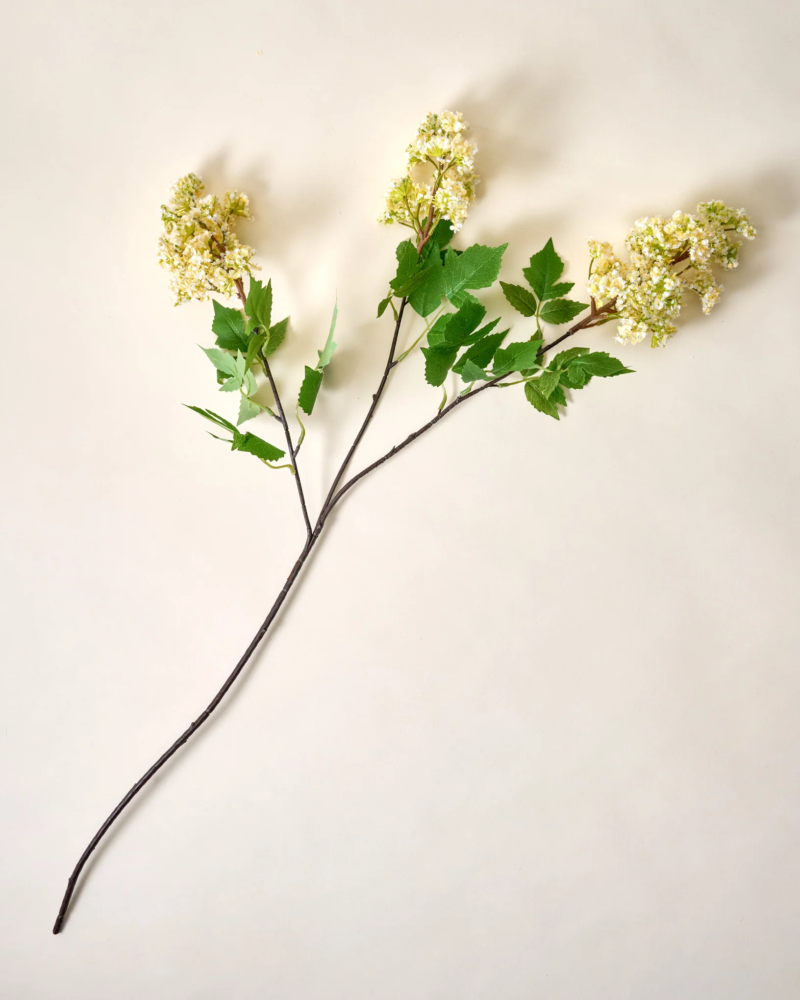 Crepe Myrtle Spray - Image 3