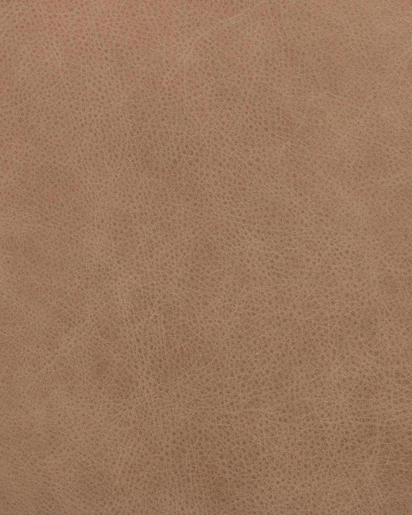 Danielle Bench - Image 20