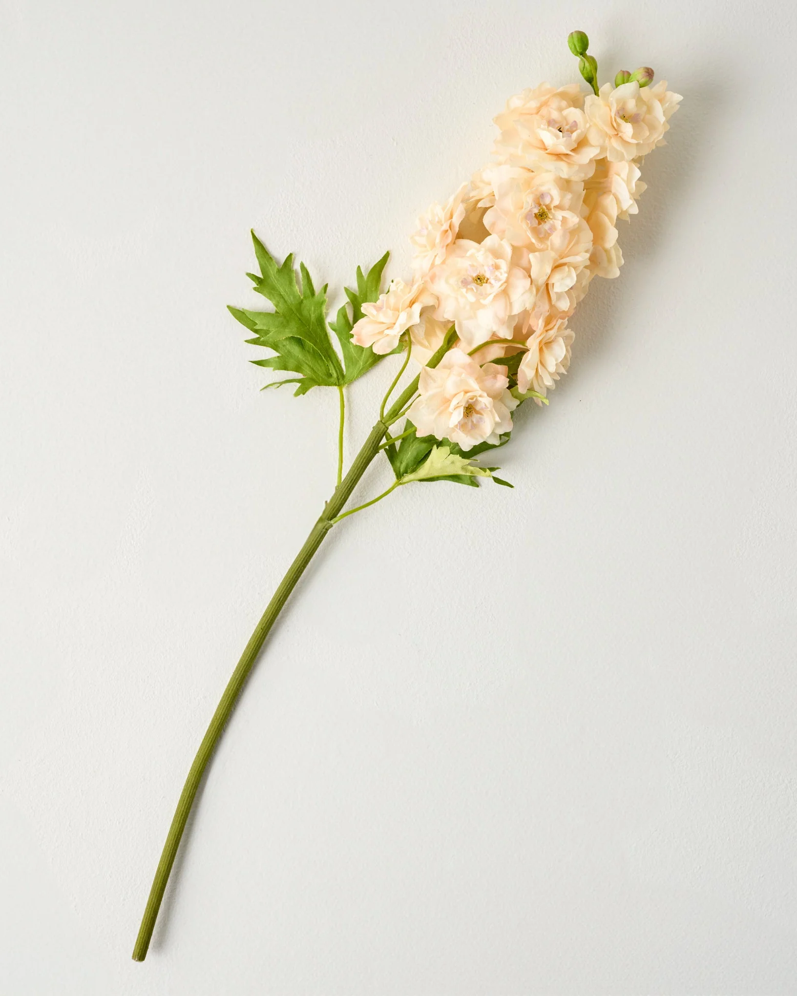 Delphinium Stem - Image 2