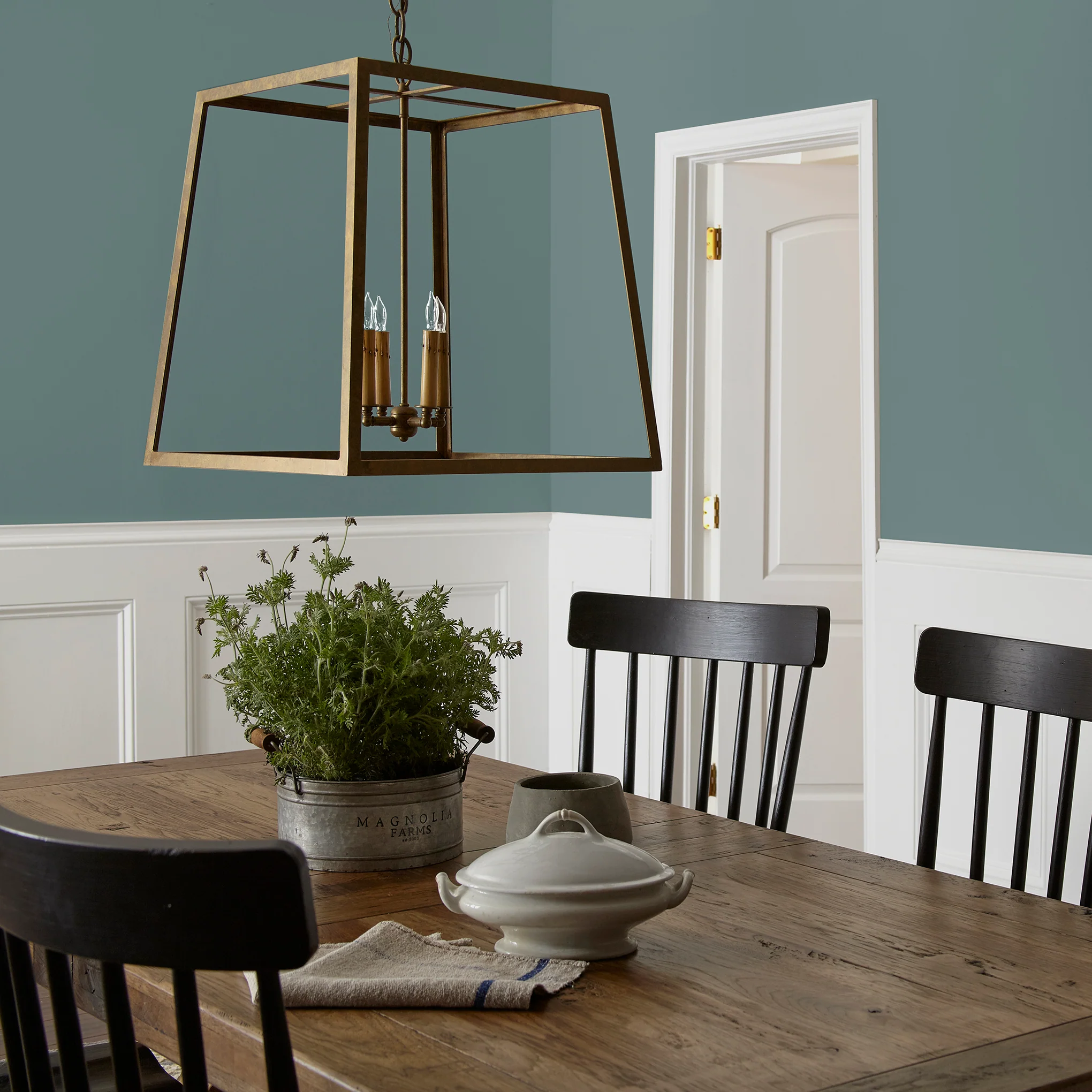 Demo Day  -  Premium Interior Paint - Image 5
