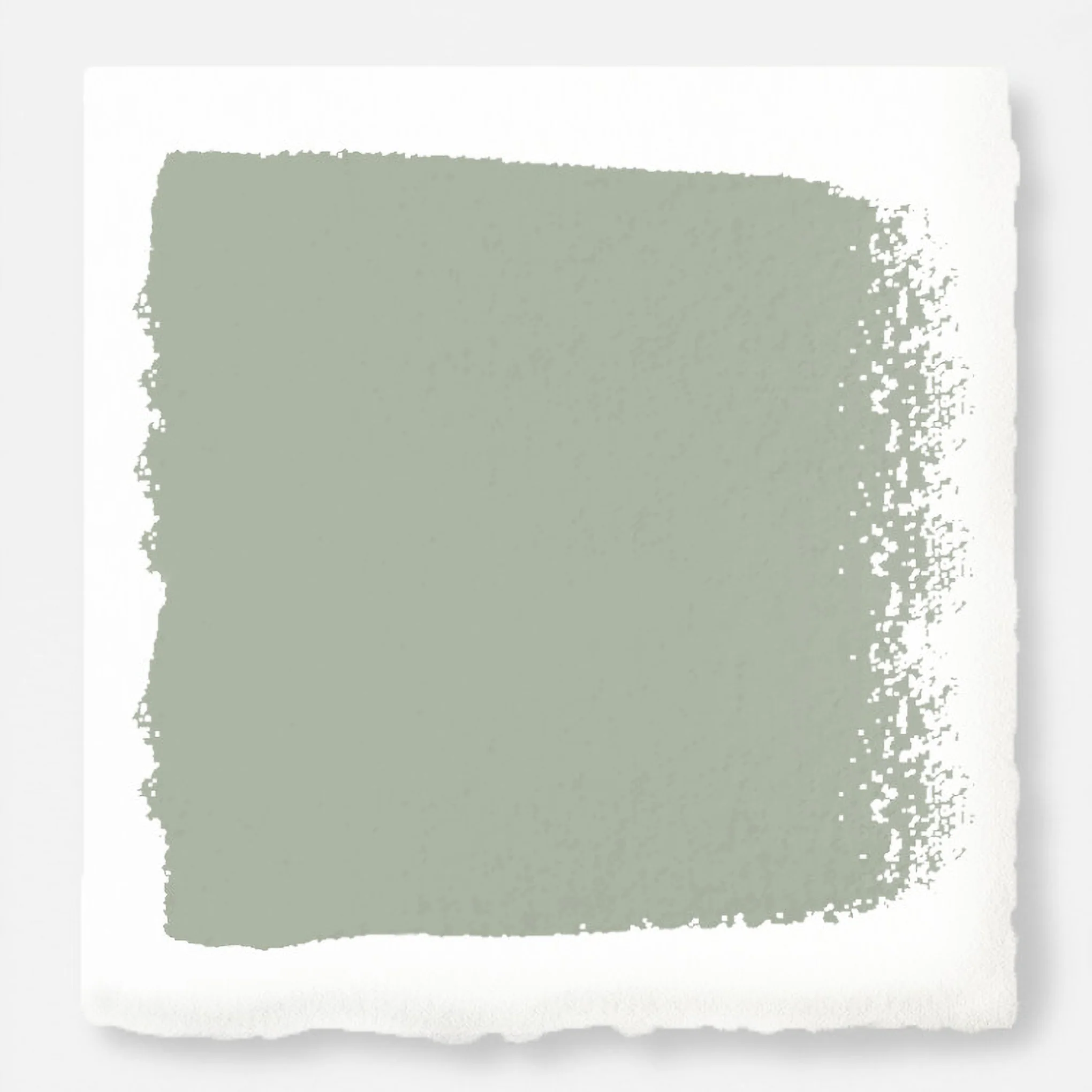 Early Riser - Classic Interior Paint