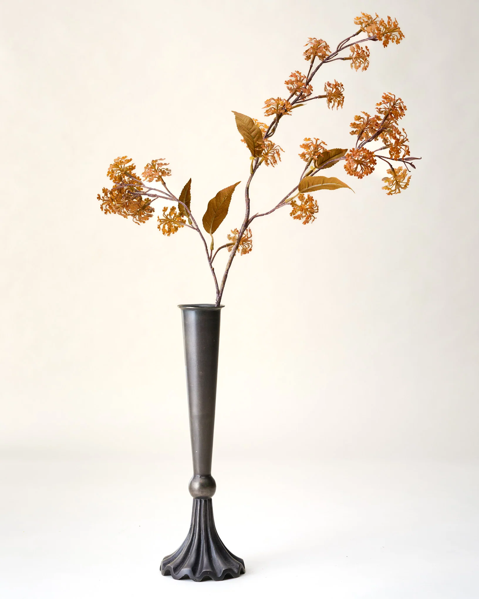 Elderberry Stem