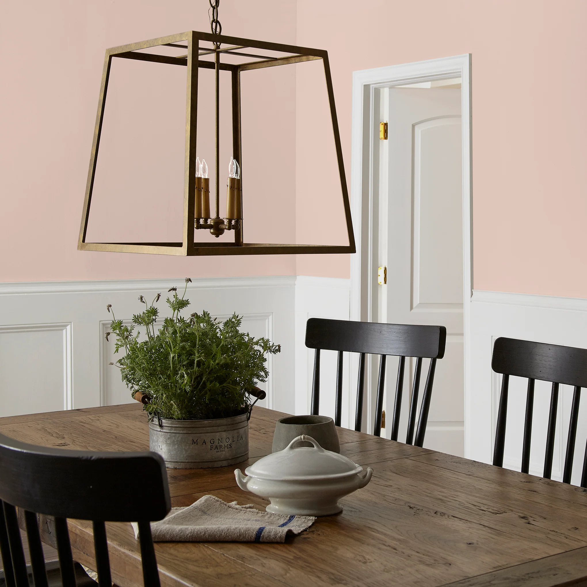 Ella Rose - Premium Interior Paint - Image 6