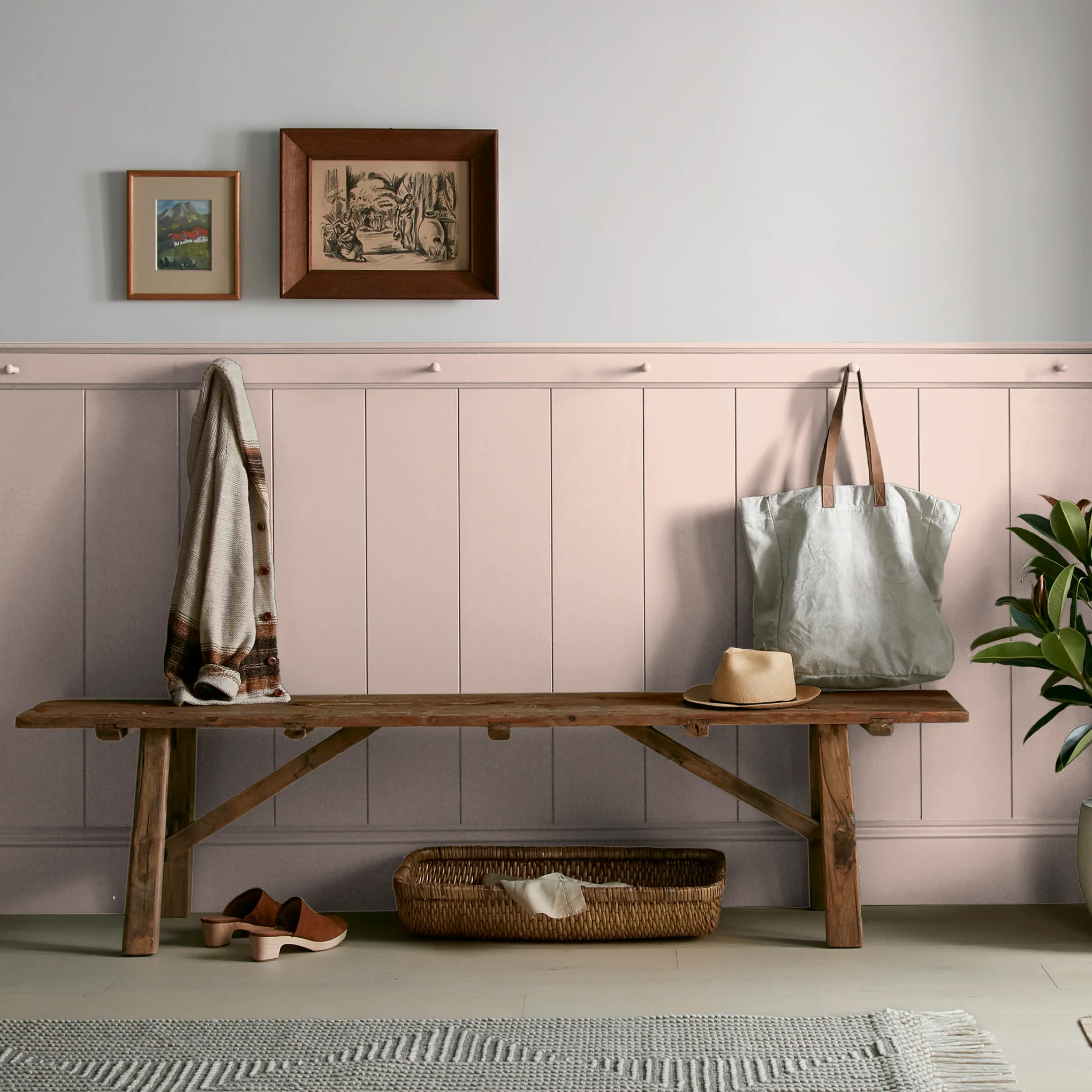 Ella Rose - Premium Interior Paint - Image 7