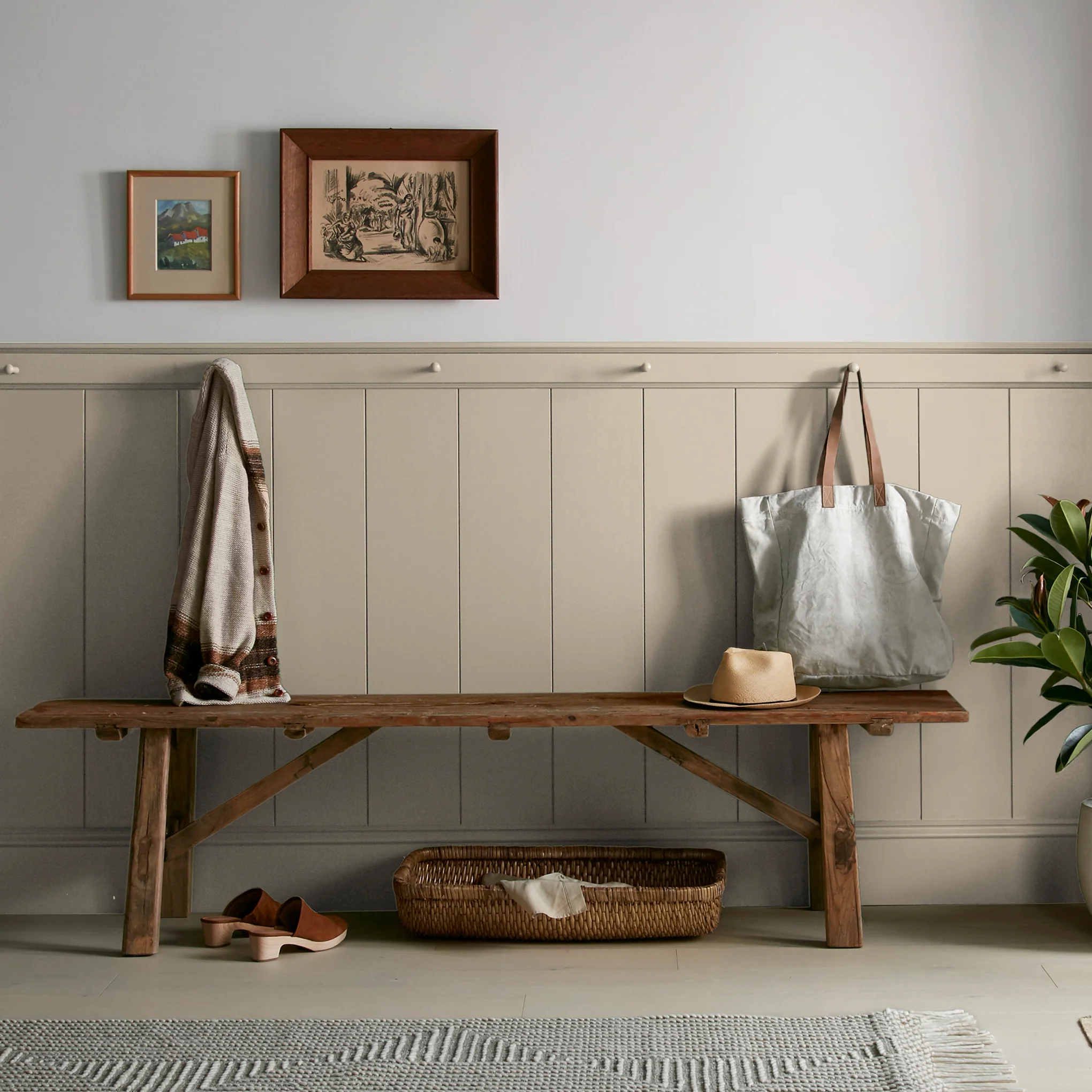 Gold Moss  -  Premium Interior Paint - Image 6