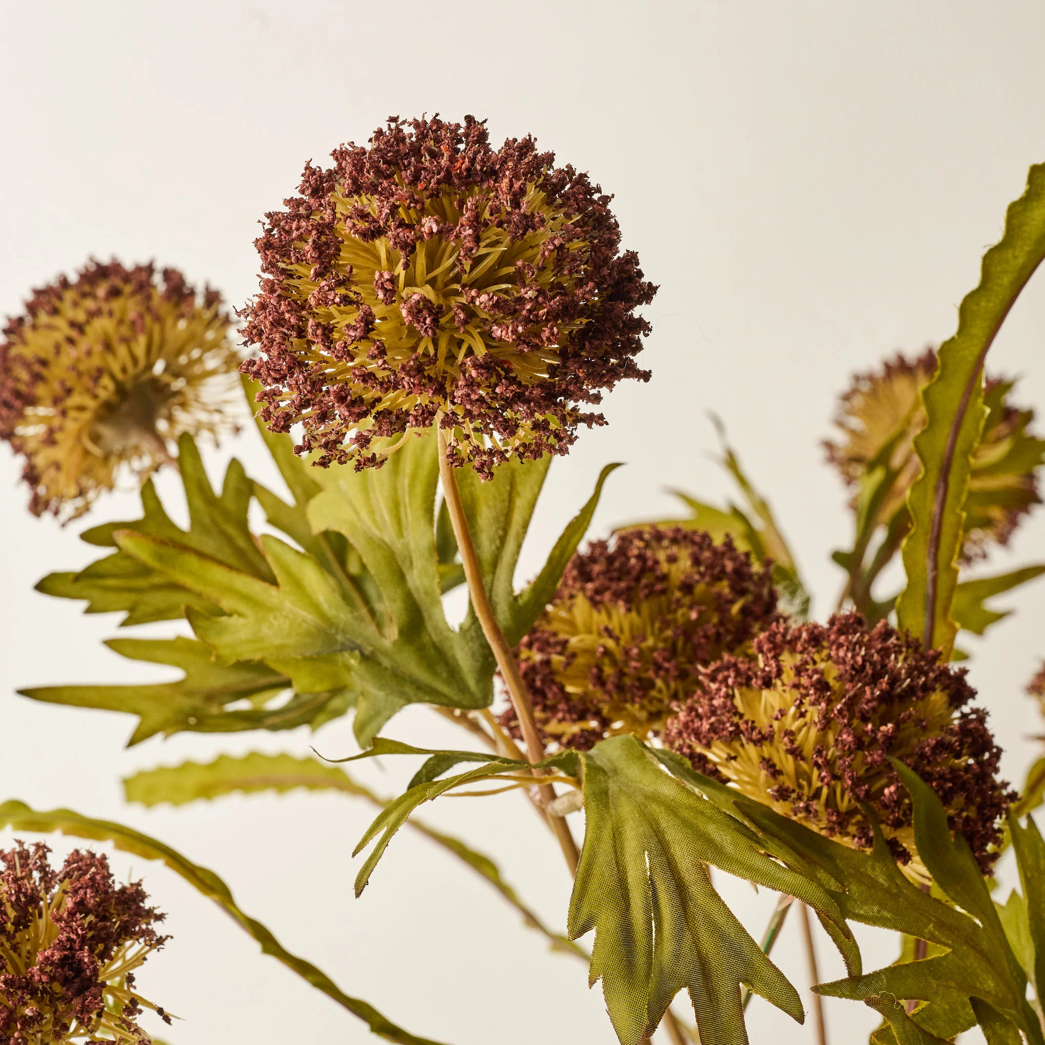Large Thistle Bush - Image 2