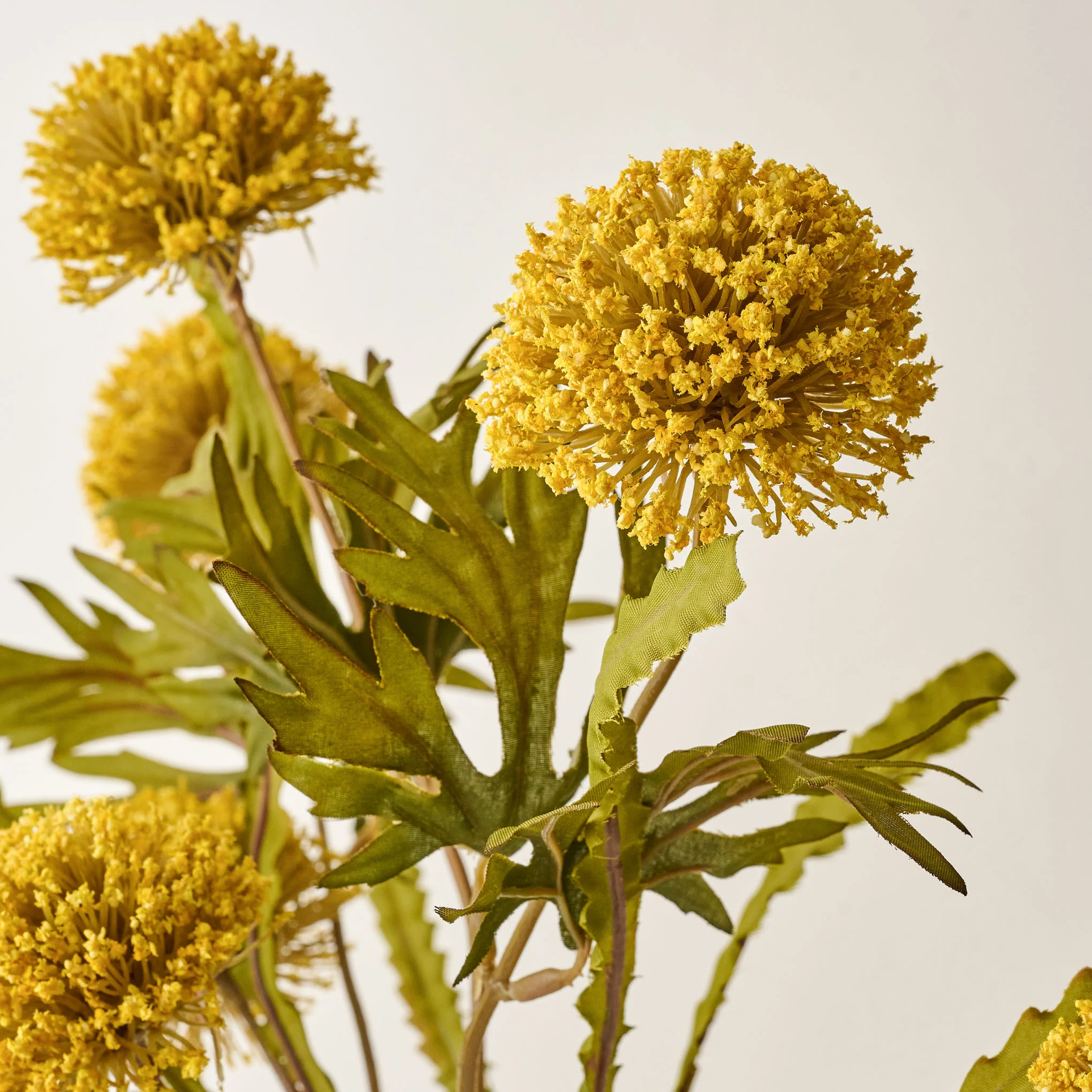 Large Thistle Bush - Image 4