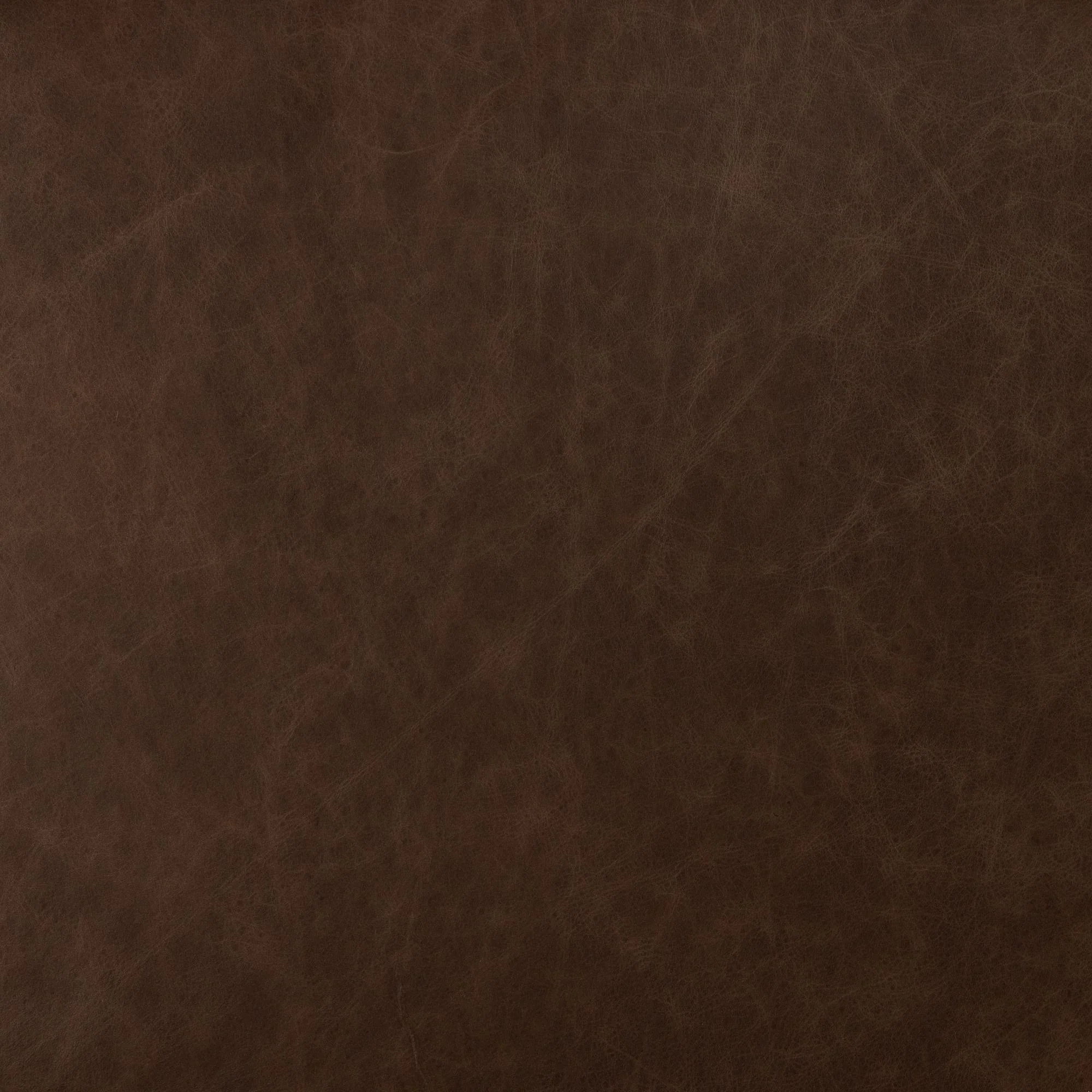 Leigh Dining Chair - Image 19