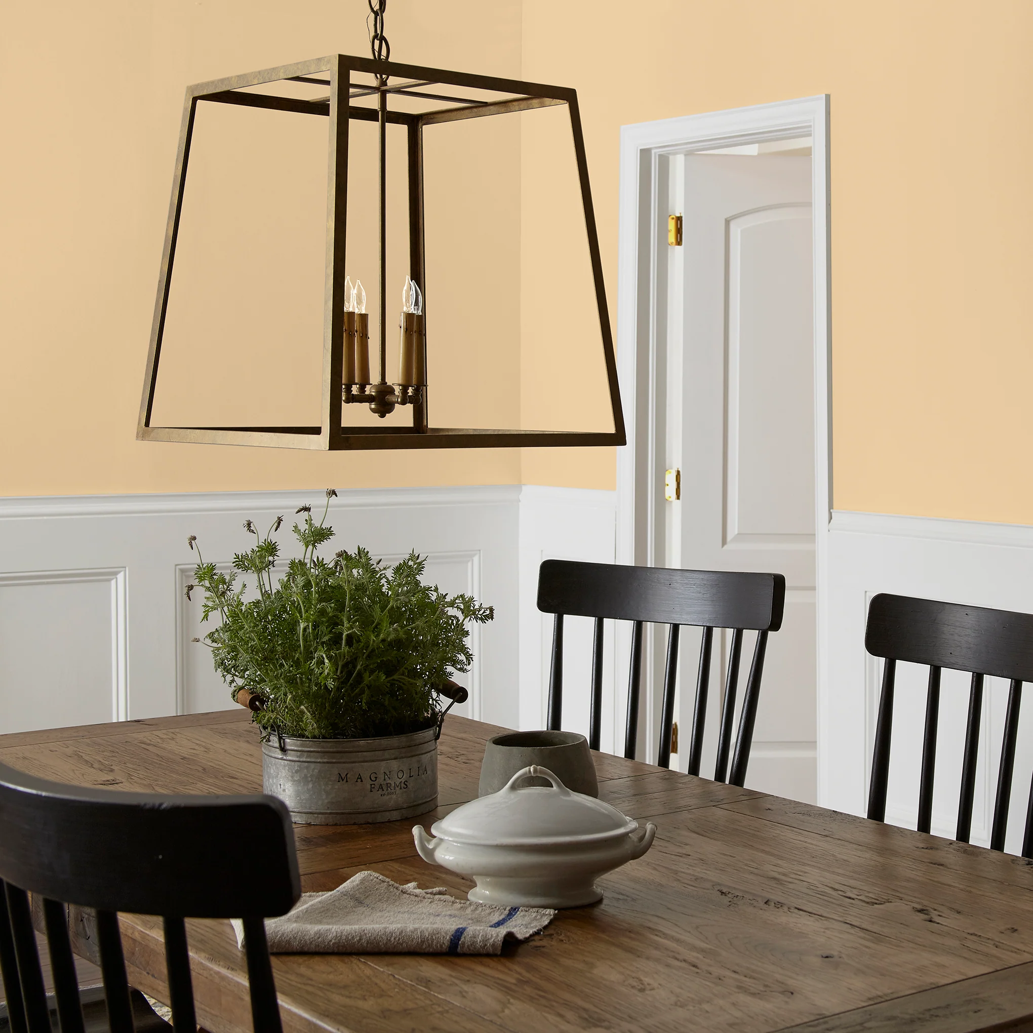 Lemony -  Classic Interior Paint - Image 5