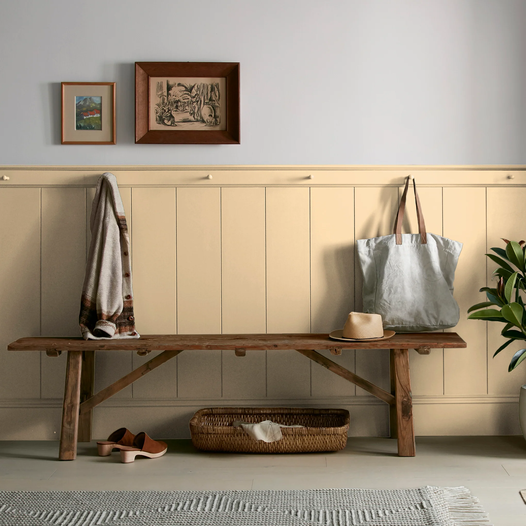 Lemony -  Classic Interior Paint - Image 6