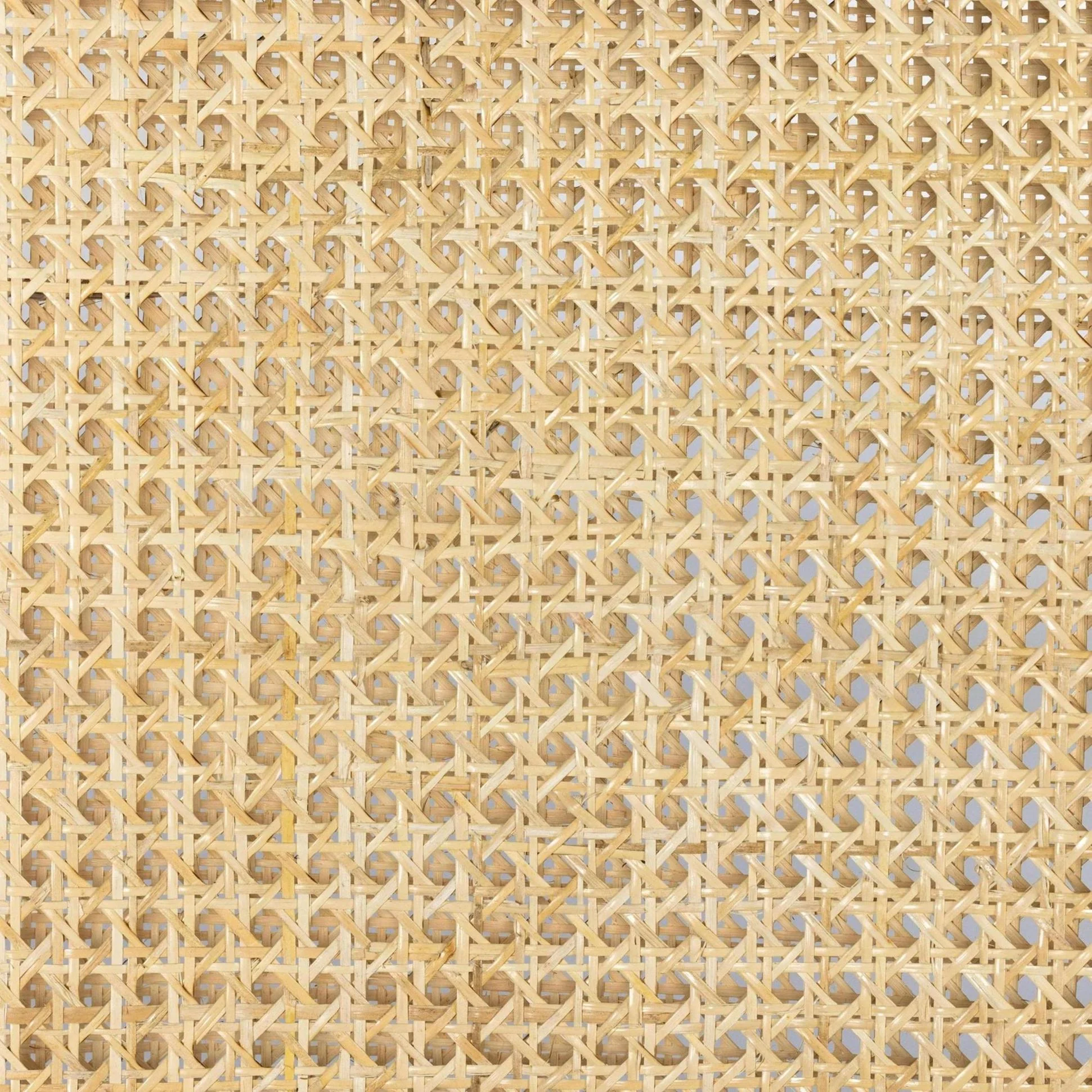 Lita Dining Chair - Image 4