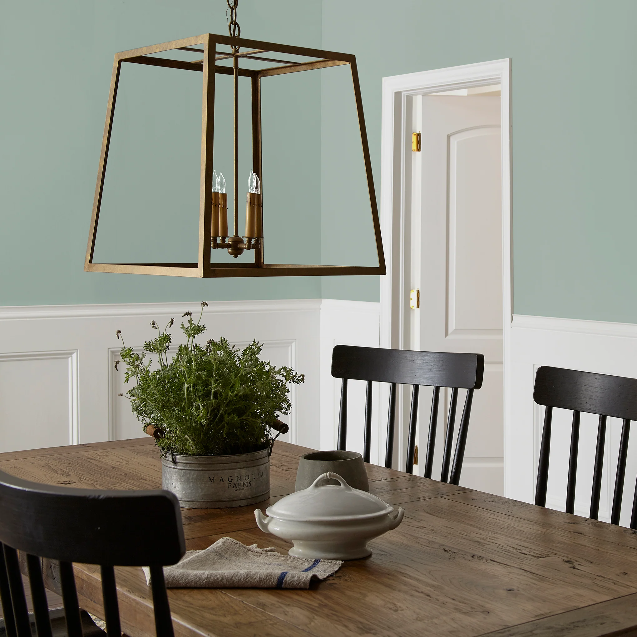 Local Greenhouse  -  Premium Interior Paint - Image 5