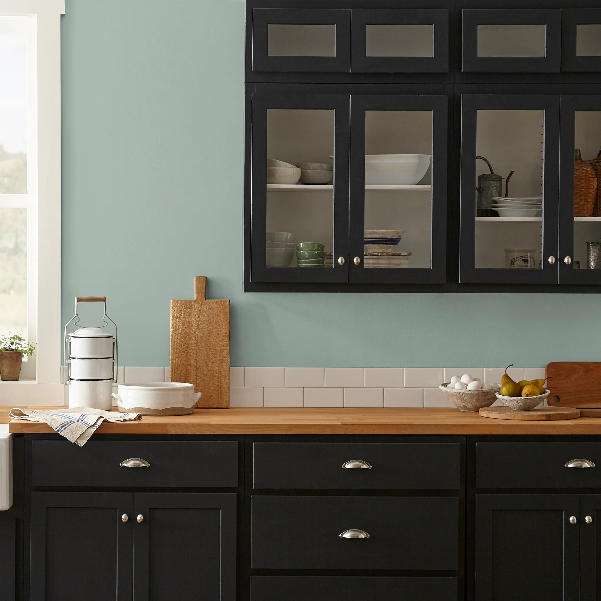 Local Greenhouse  -  Premium Interior Paint - Image 7