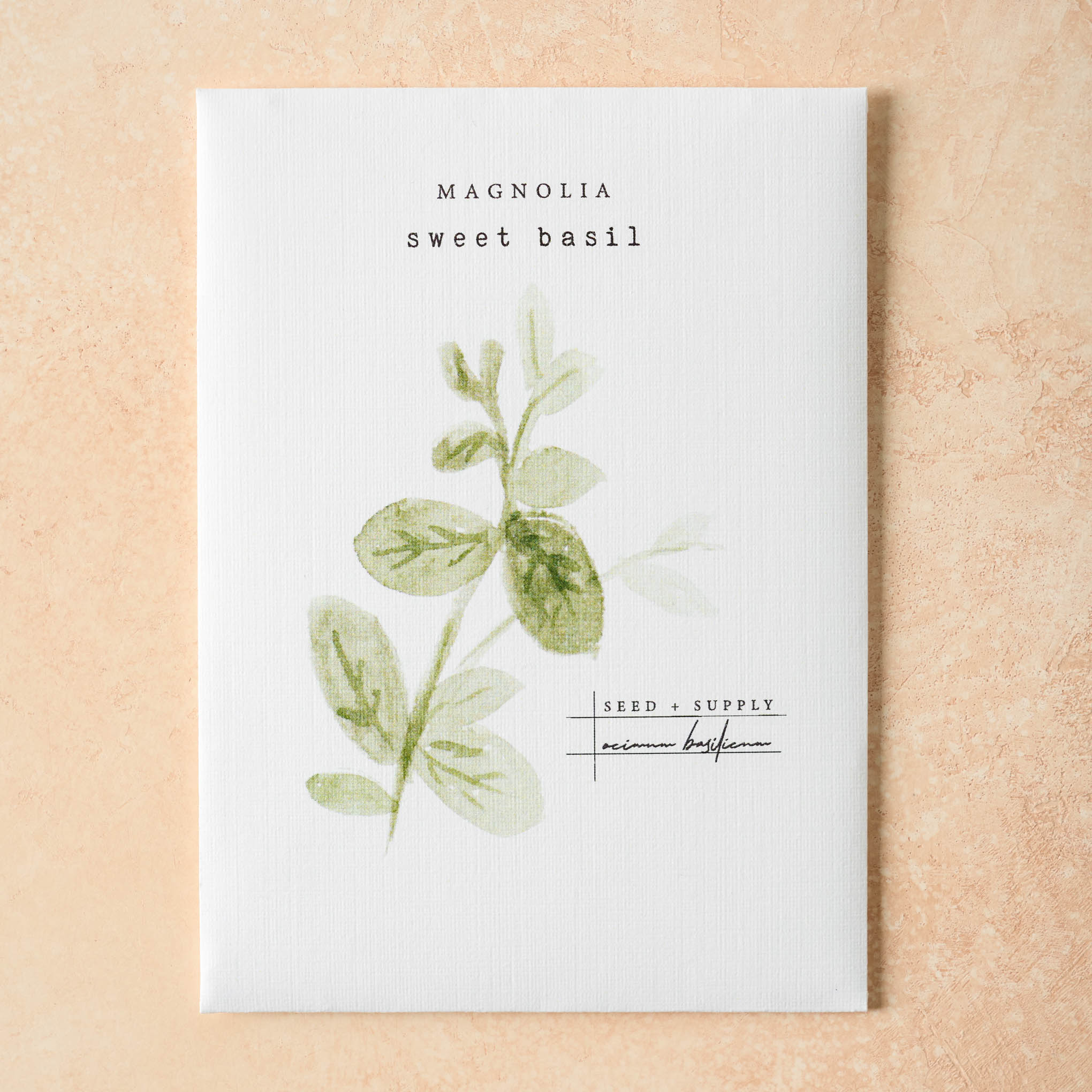 Watercolor Magnolia Seeds - Image 2