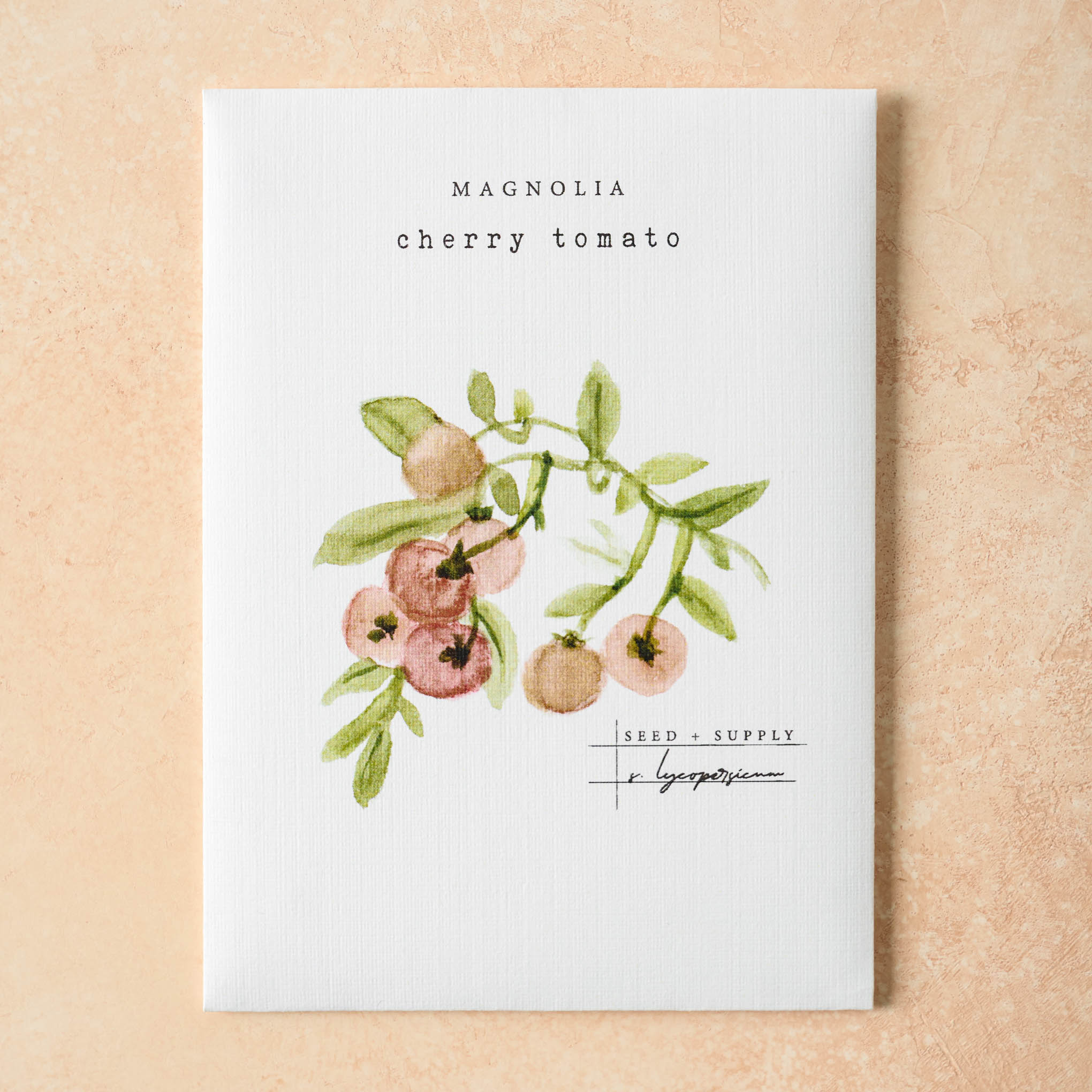 Watercolor Magnolia Seeds - Image 5