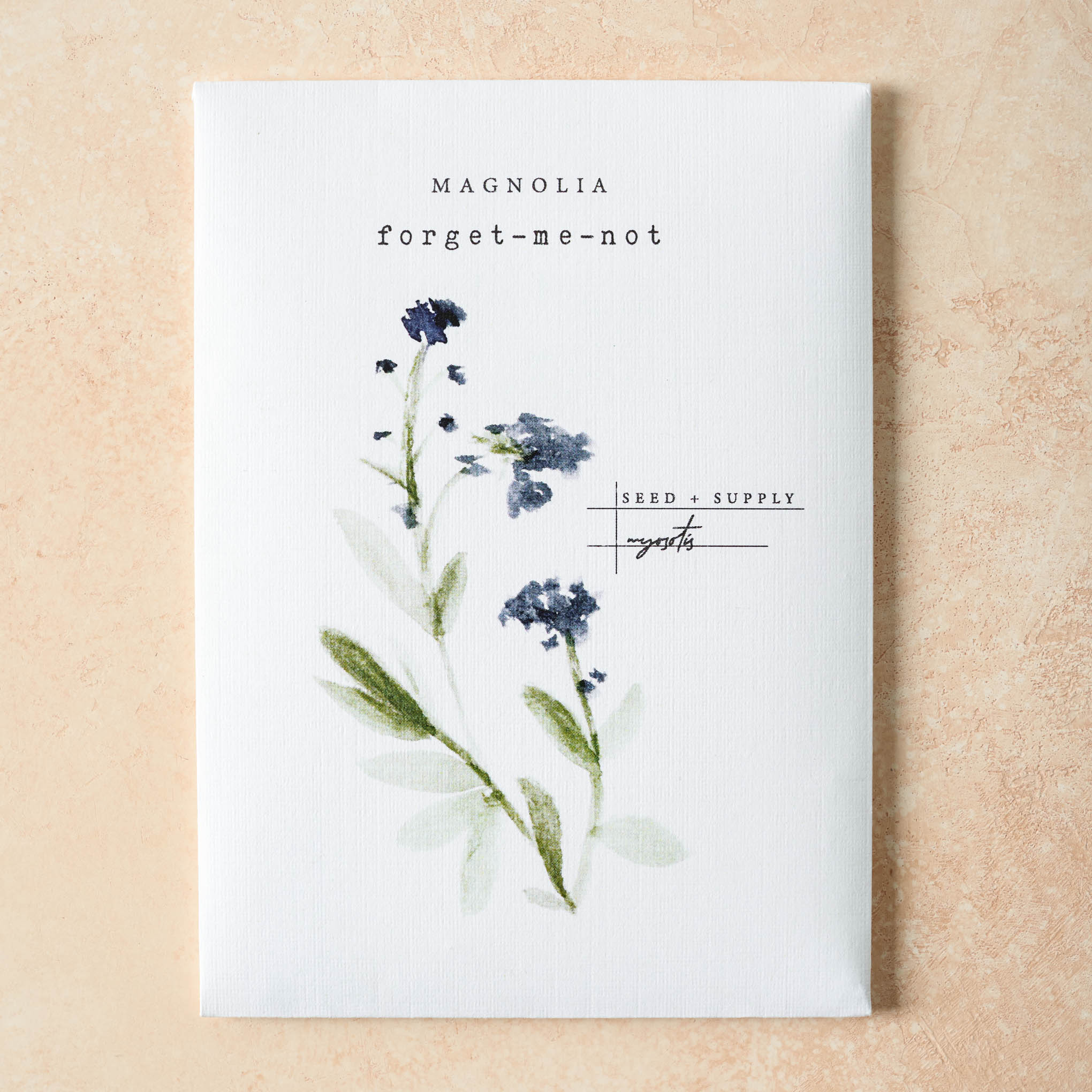 Watercolor Magnolia Seeds - Image 6