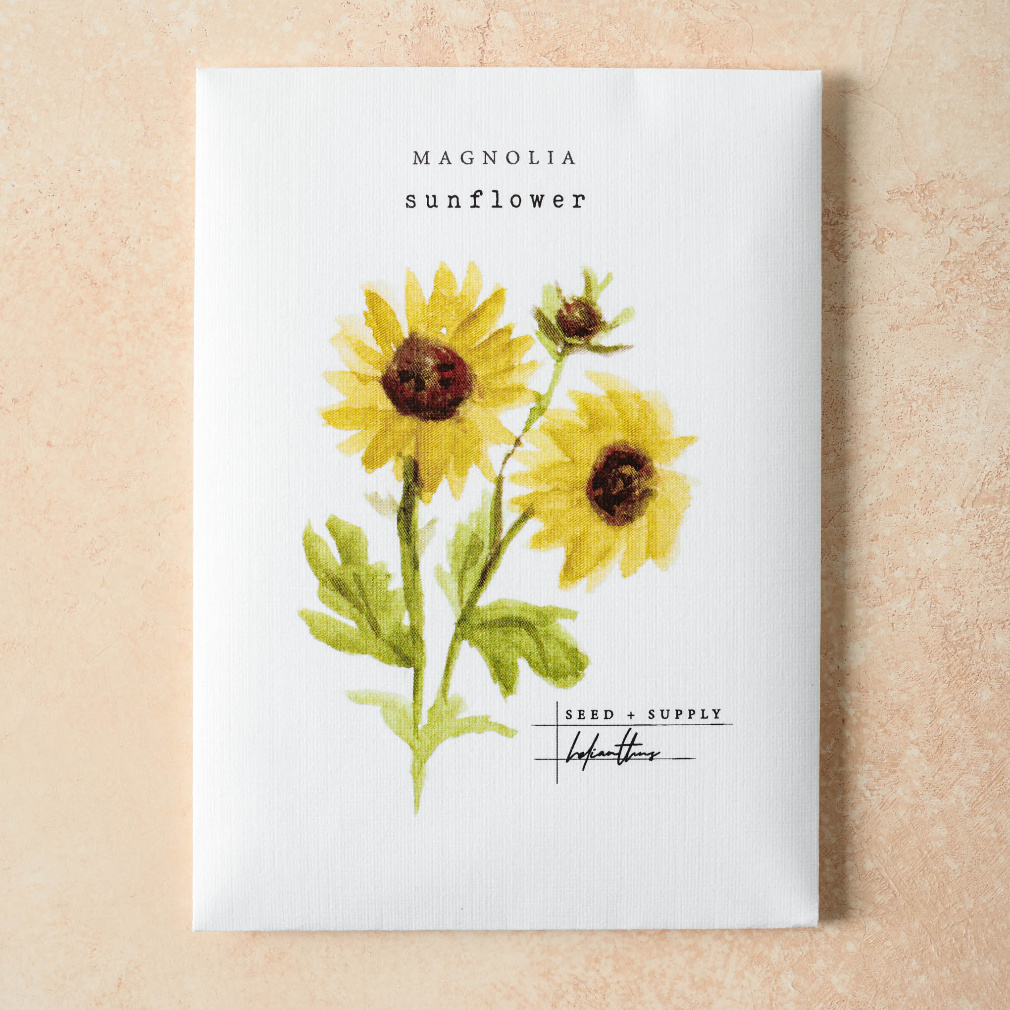 Watercolor Magnolia Seeds - Image 8