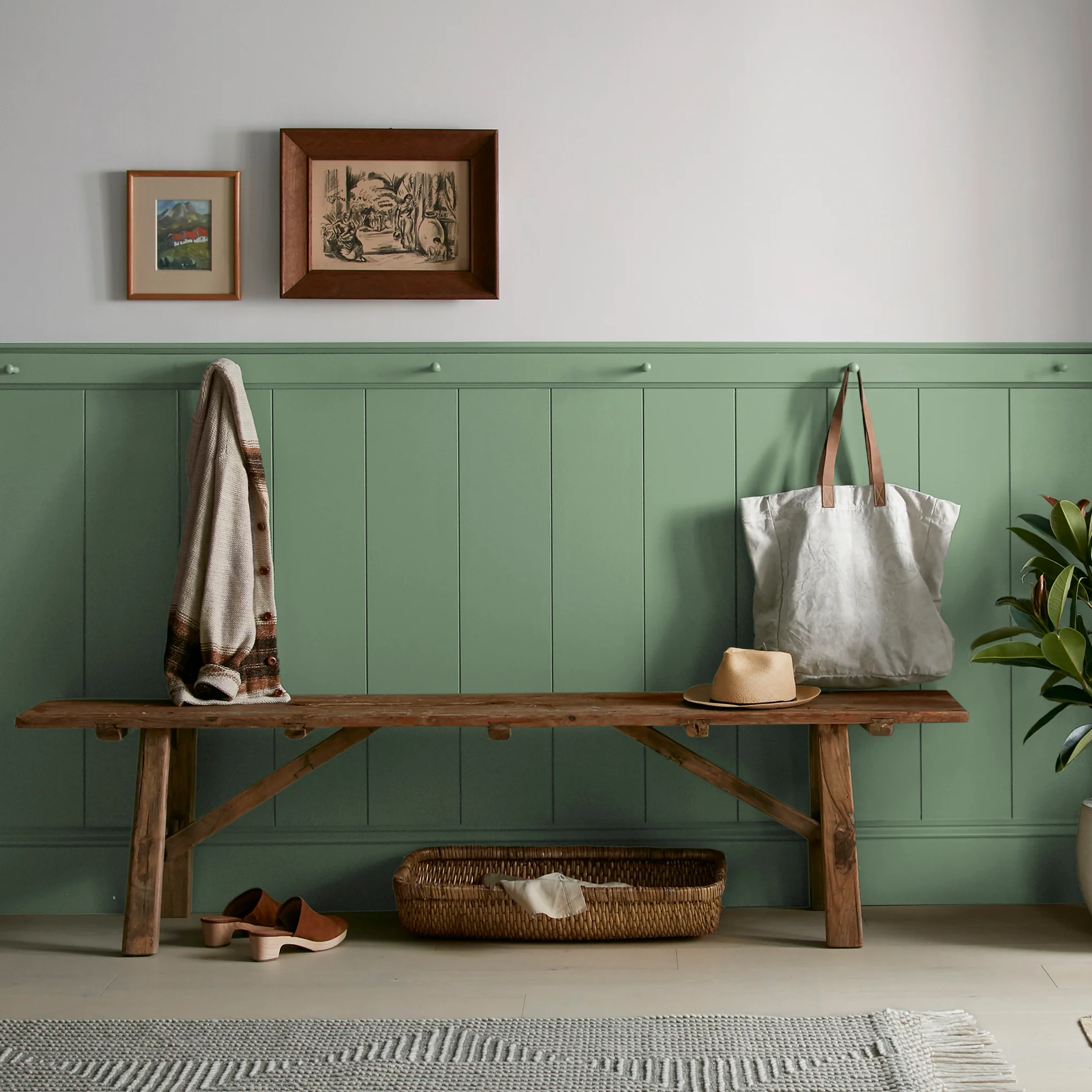 Magnolia Green - Premium Interior Paint - Image 6