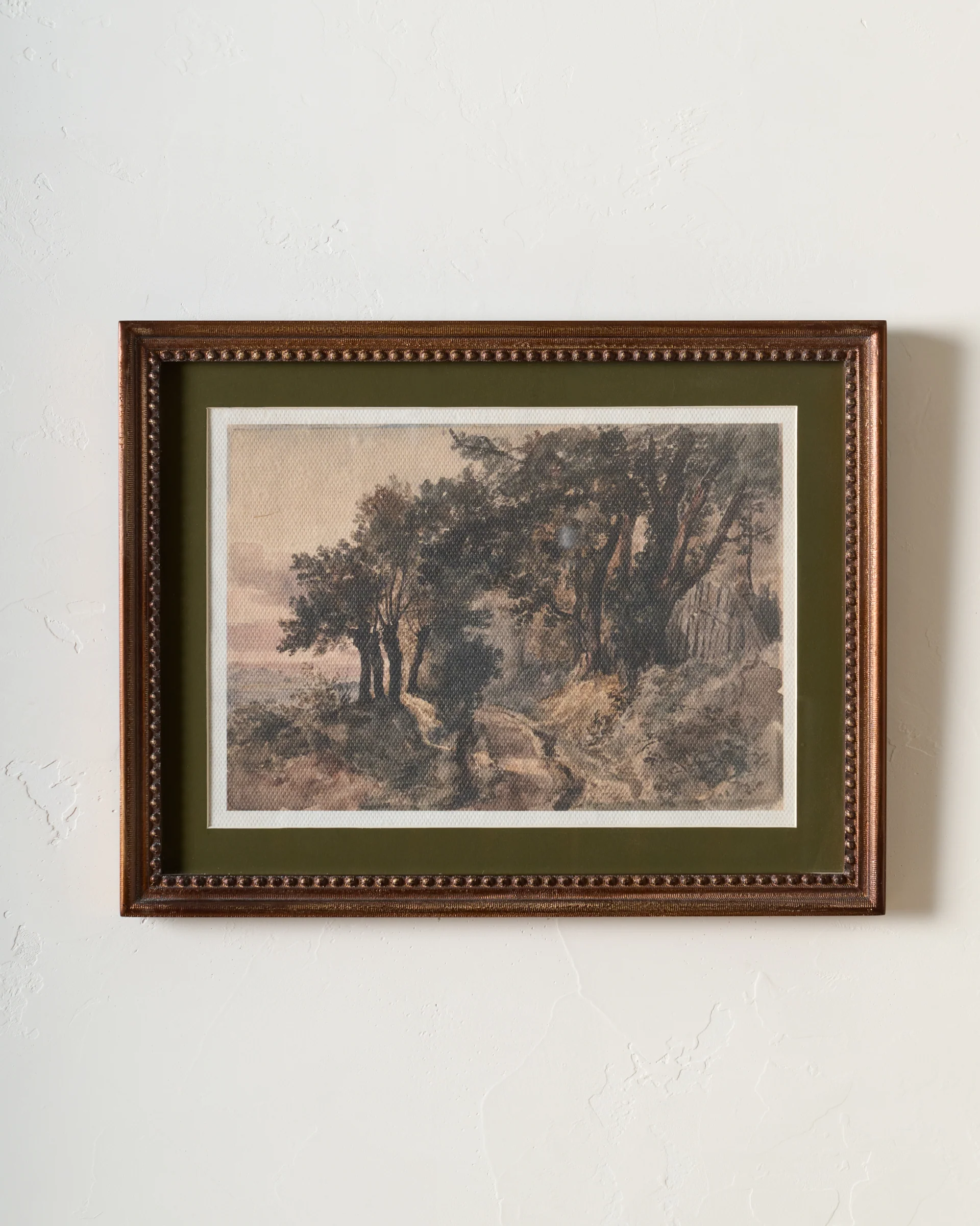 Oak View Landscape - Image 2