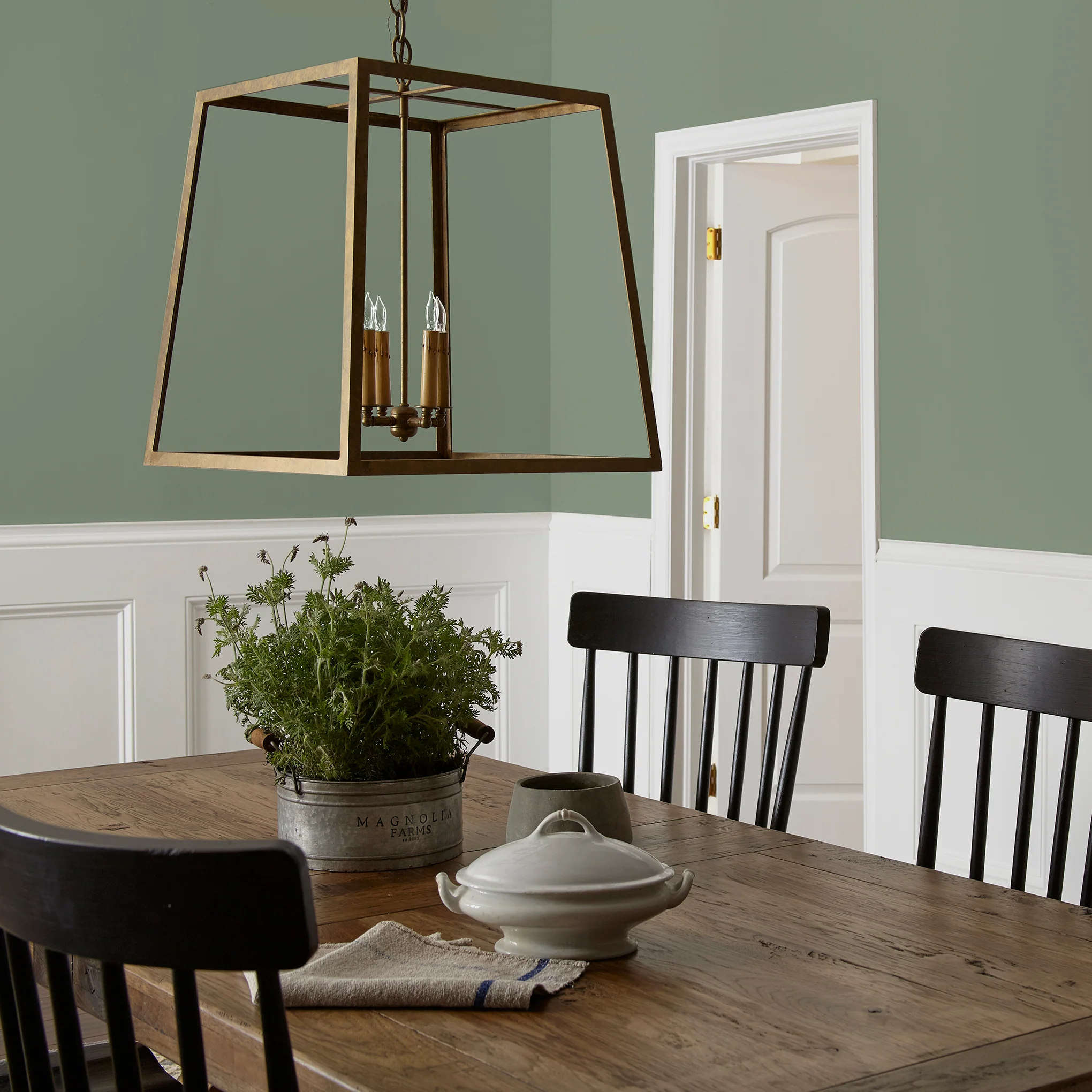 Olive Grove - Premium Interior Paint - Image 5
