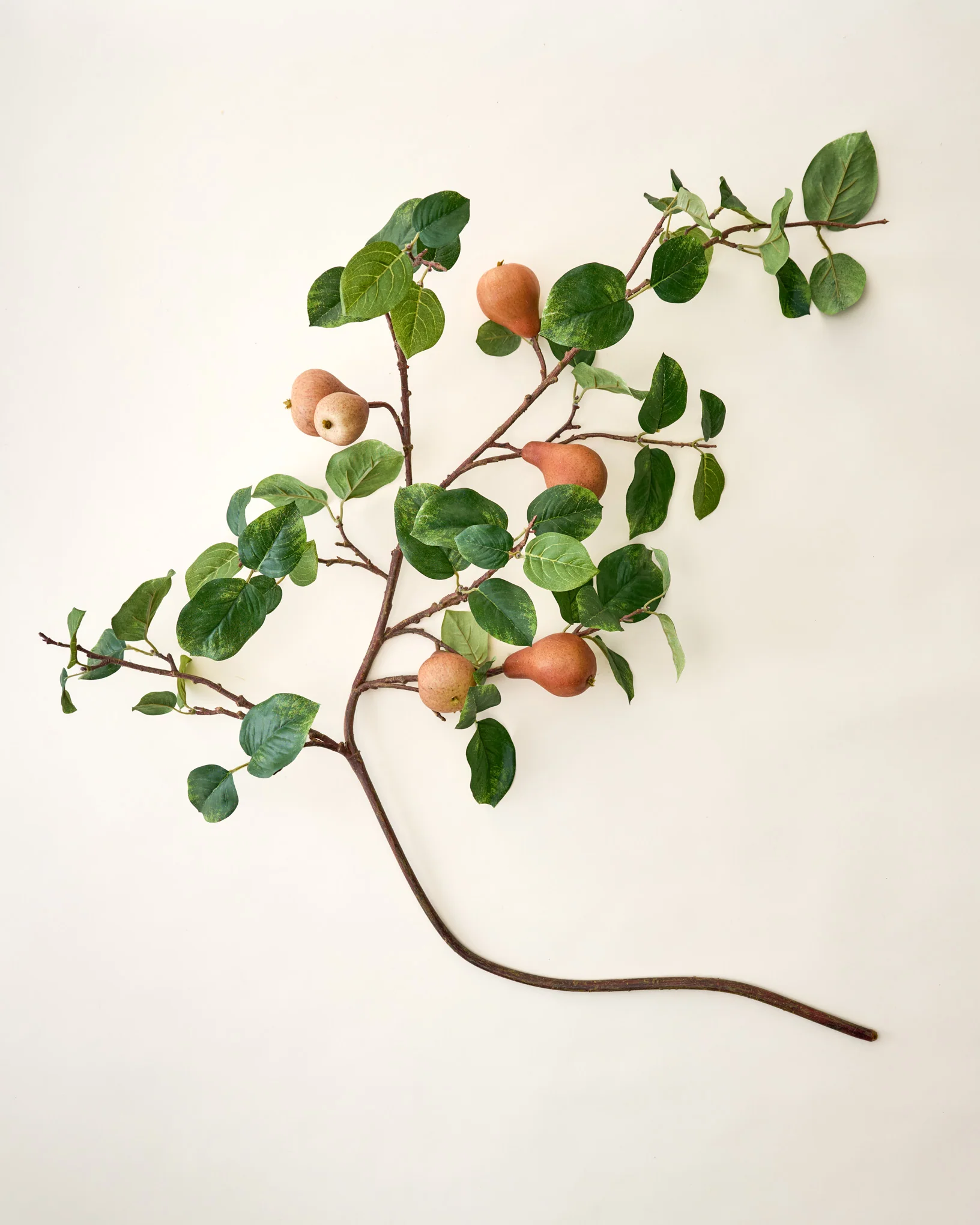 Oversized Pear Stem - Image 2