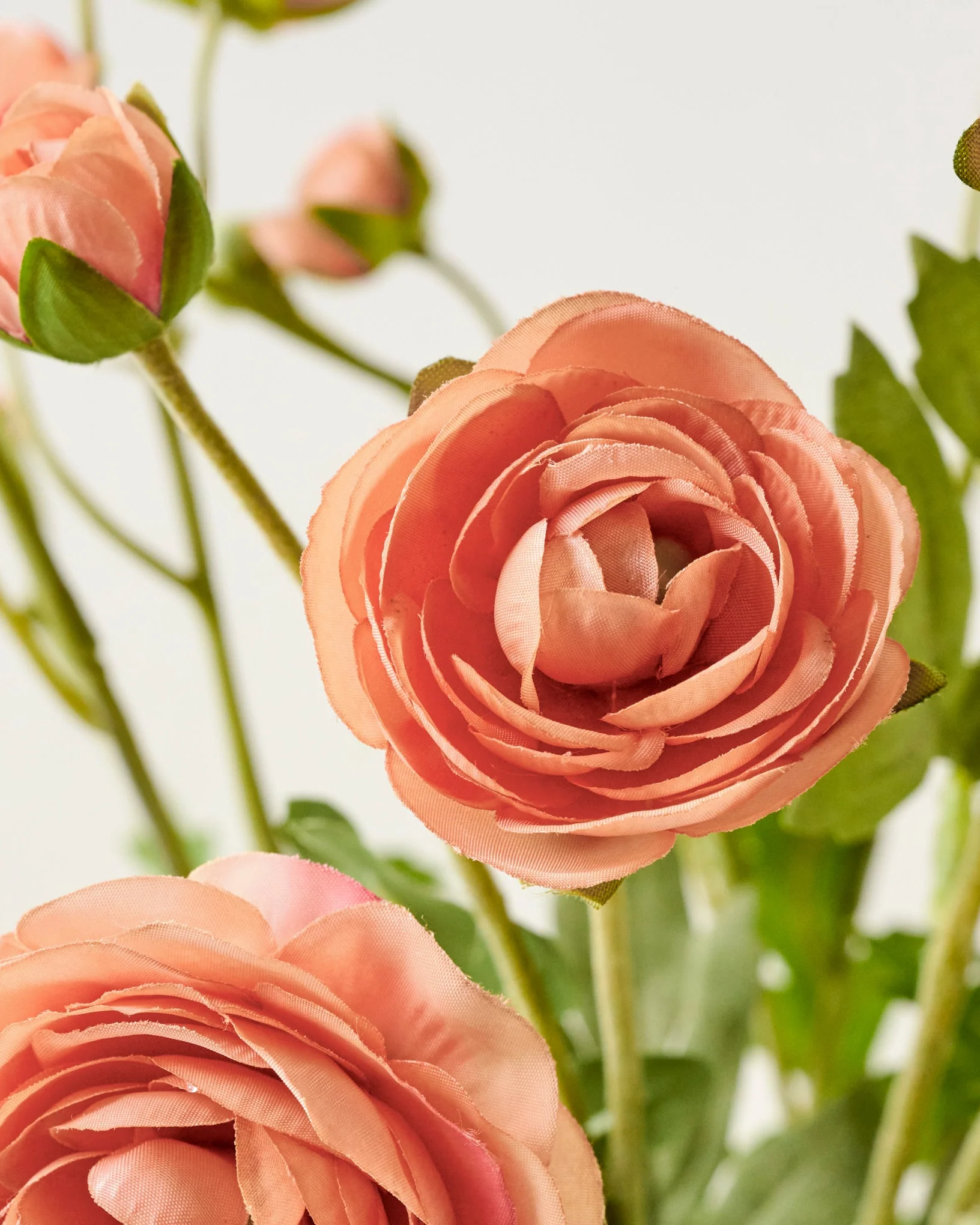 Ranunculus Bloom Bundle - Image 10