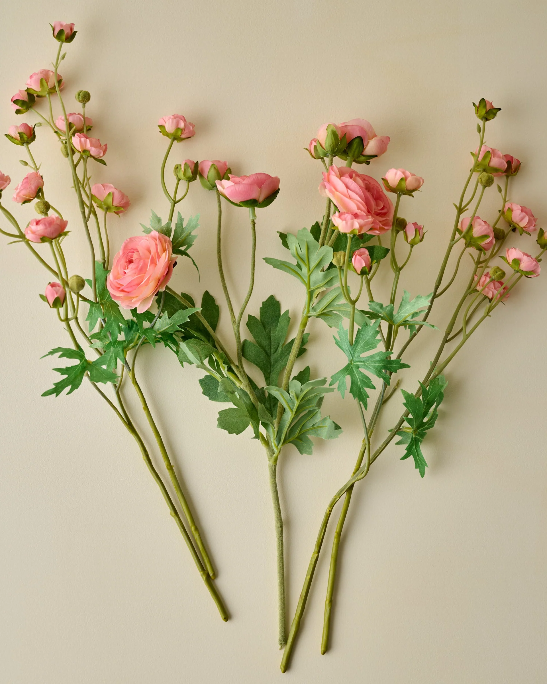 Ranunculus Bloom Bundle - Image 13