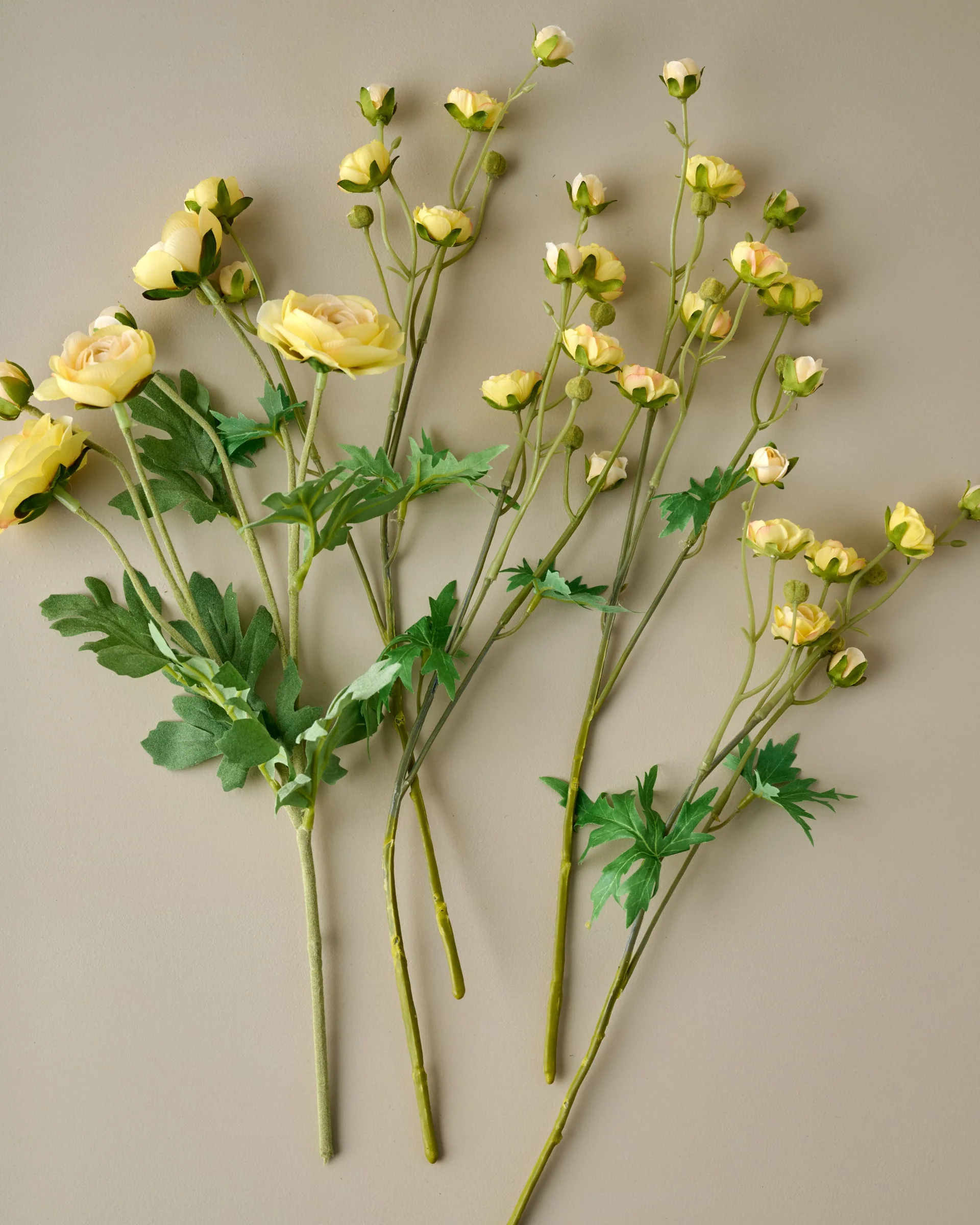 Ranunculus Bloom Bundle - Image 2