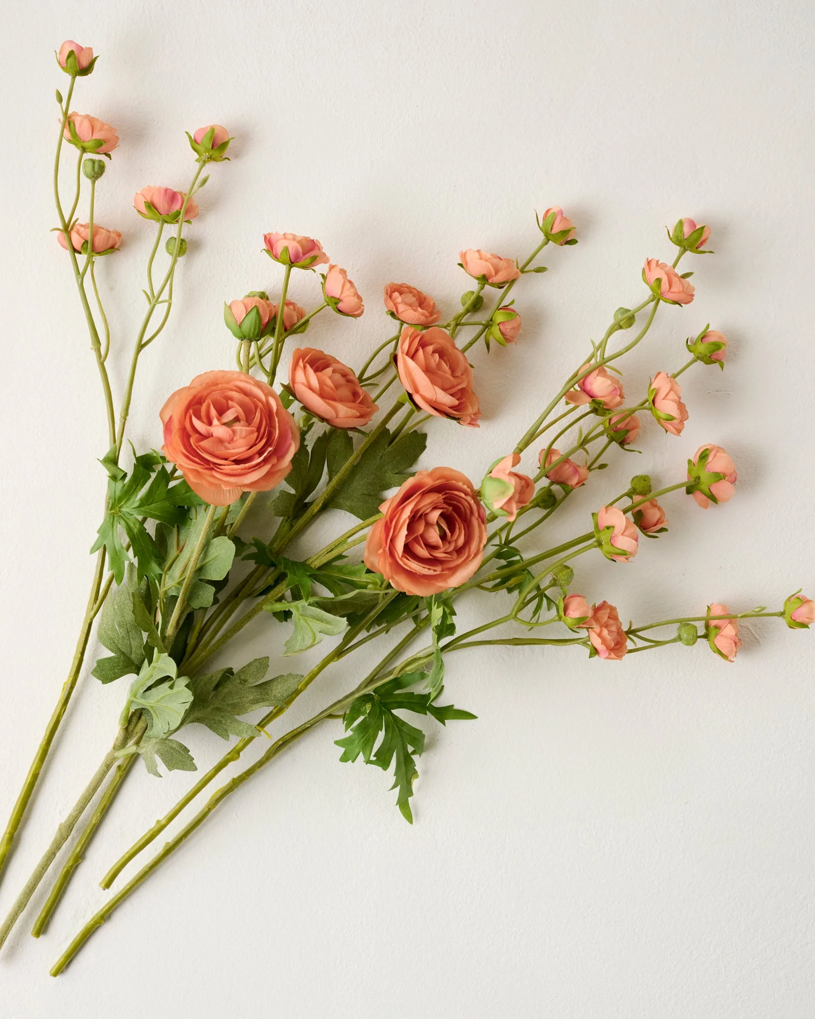Ranunculus Bloom Bundle - Image 6