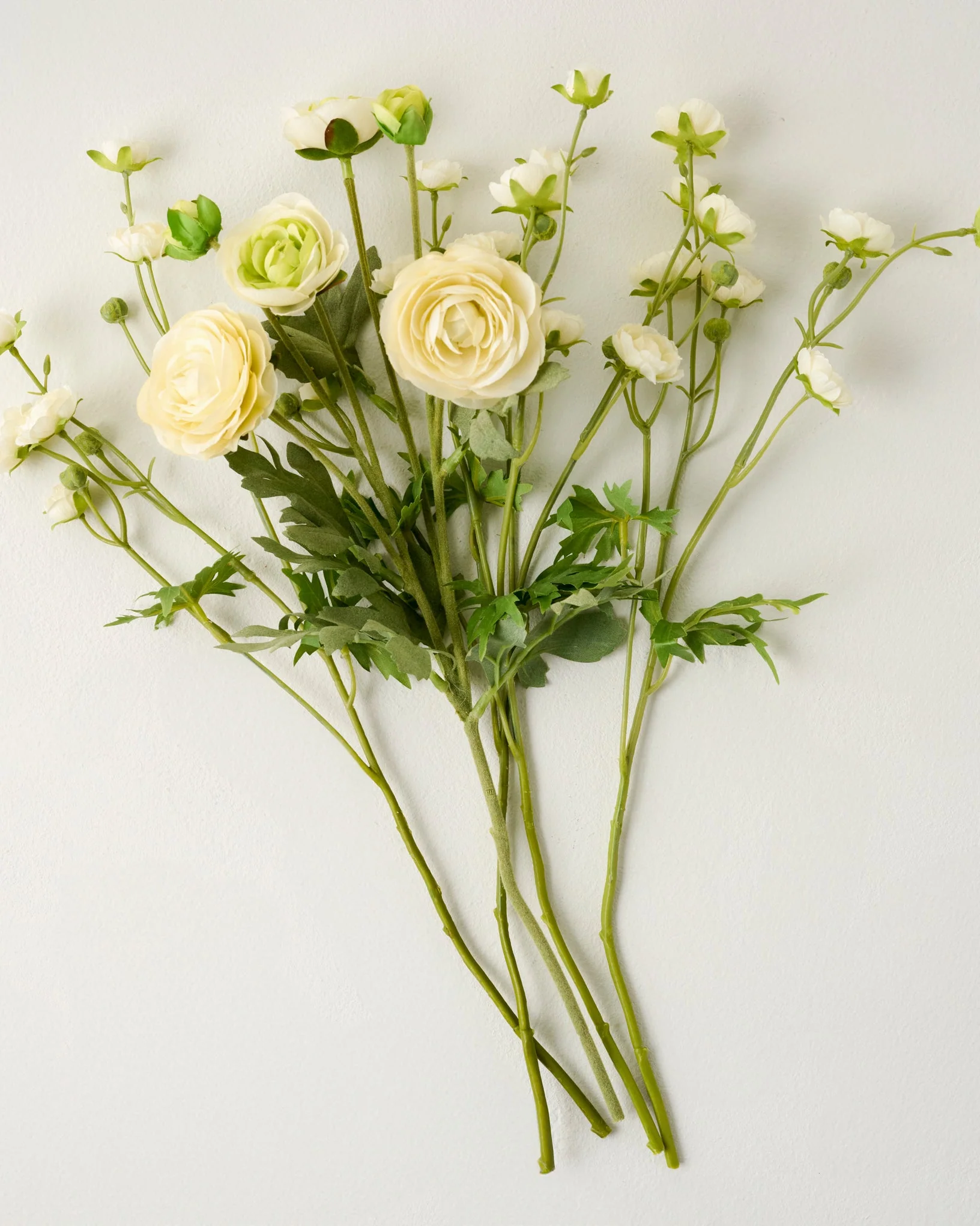 Ranunculus Bloom Bundle - Image 8
