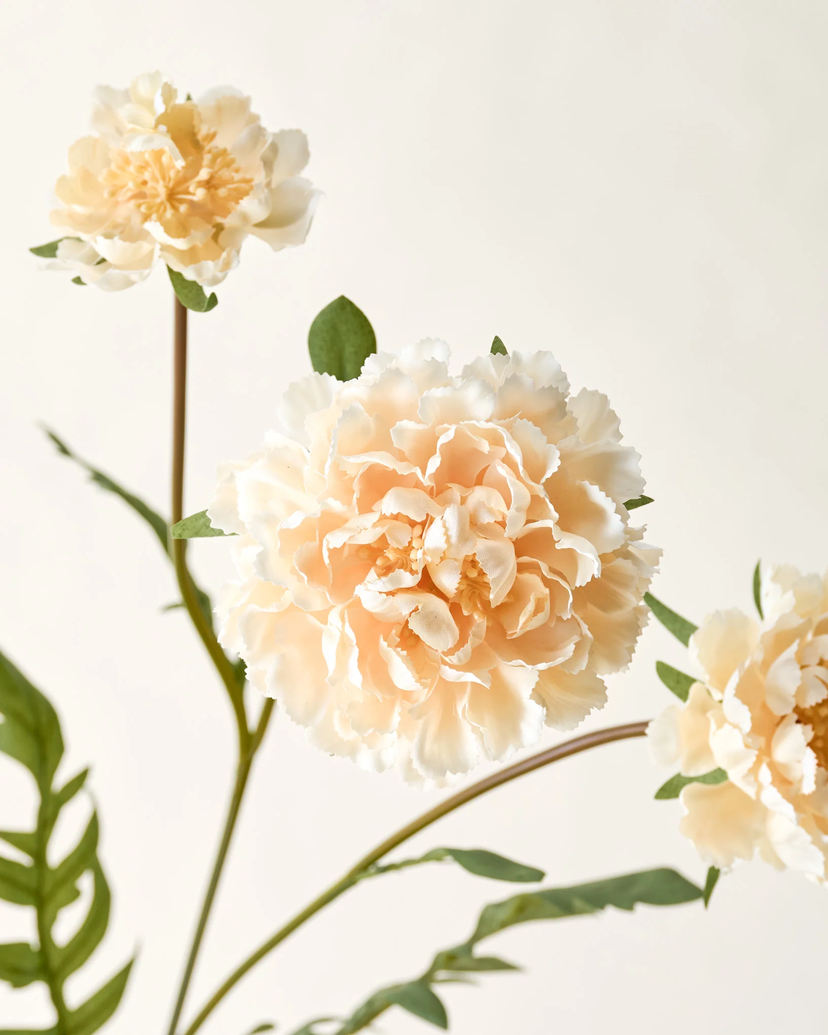 Real Touch Cream Scabiosa Stem - Image 4