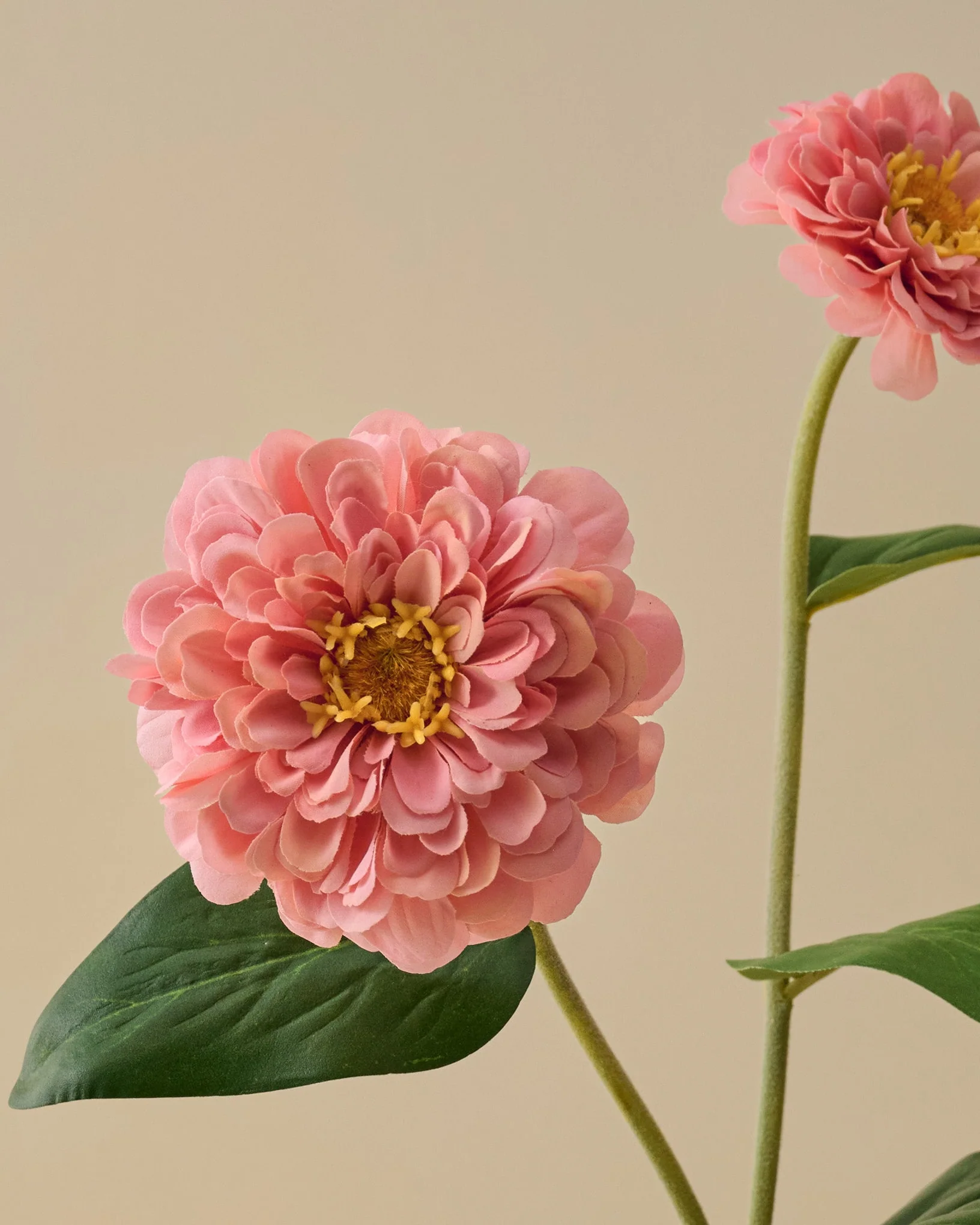 Real Touch Zinnia Stem - Image 3