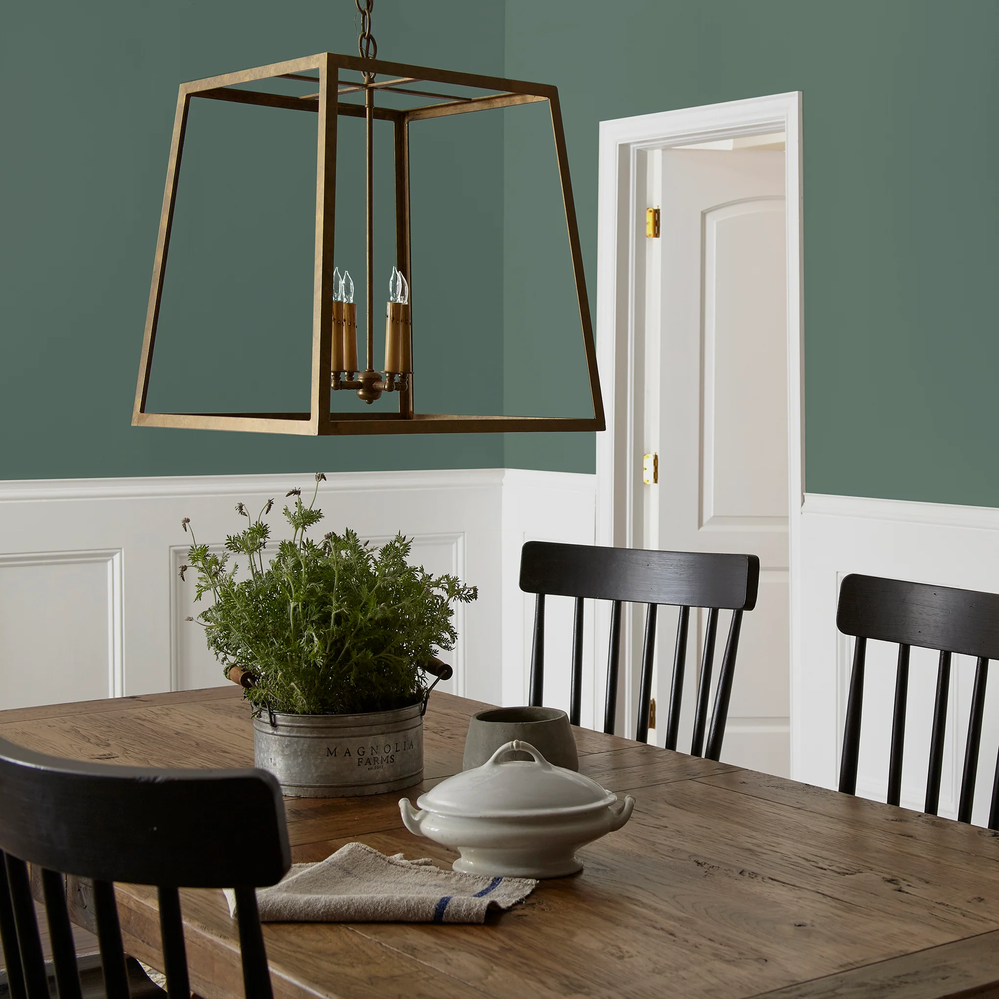 Regal Leaf  -  Premium Interior Paint - Image 5