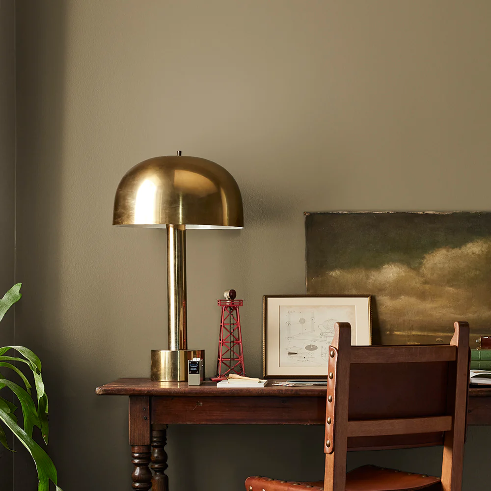 Remote Trail  -  Premium Interior Paint - Image 4