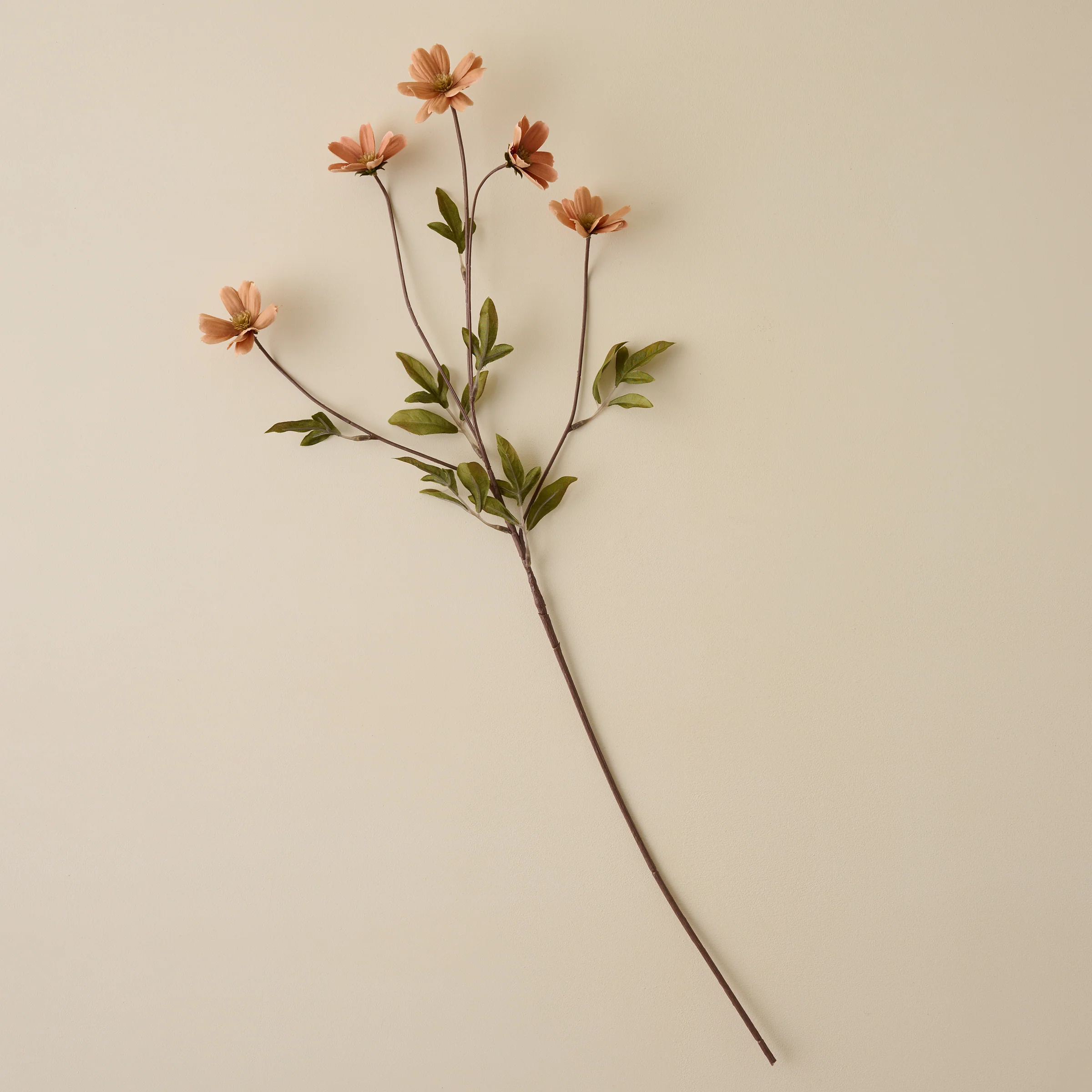 Light Amber Cosmos Stem - Image 3