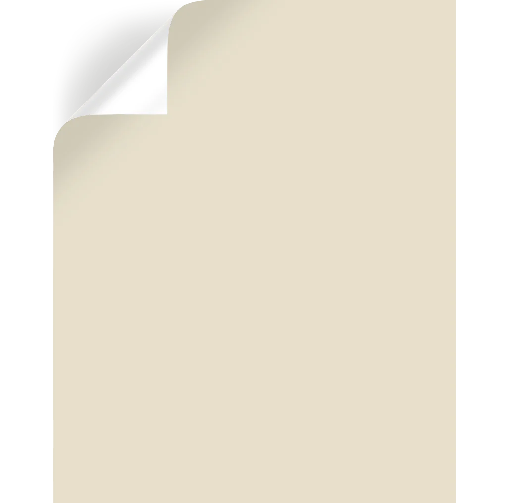 Soft Landing - Premium Interior Paint - Image 8