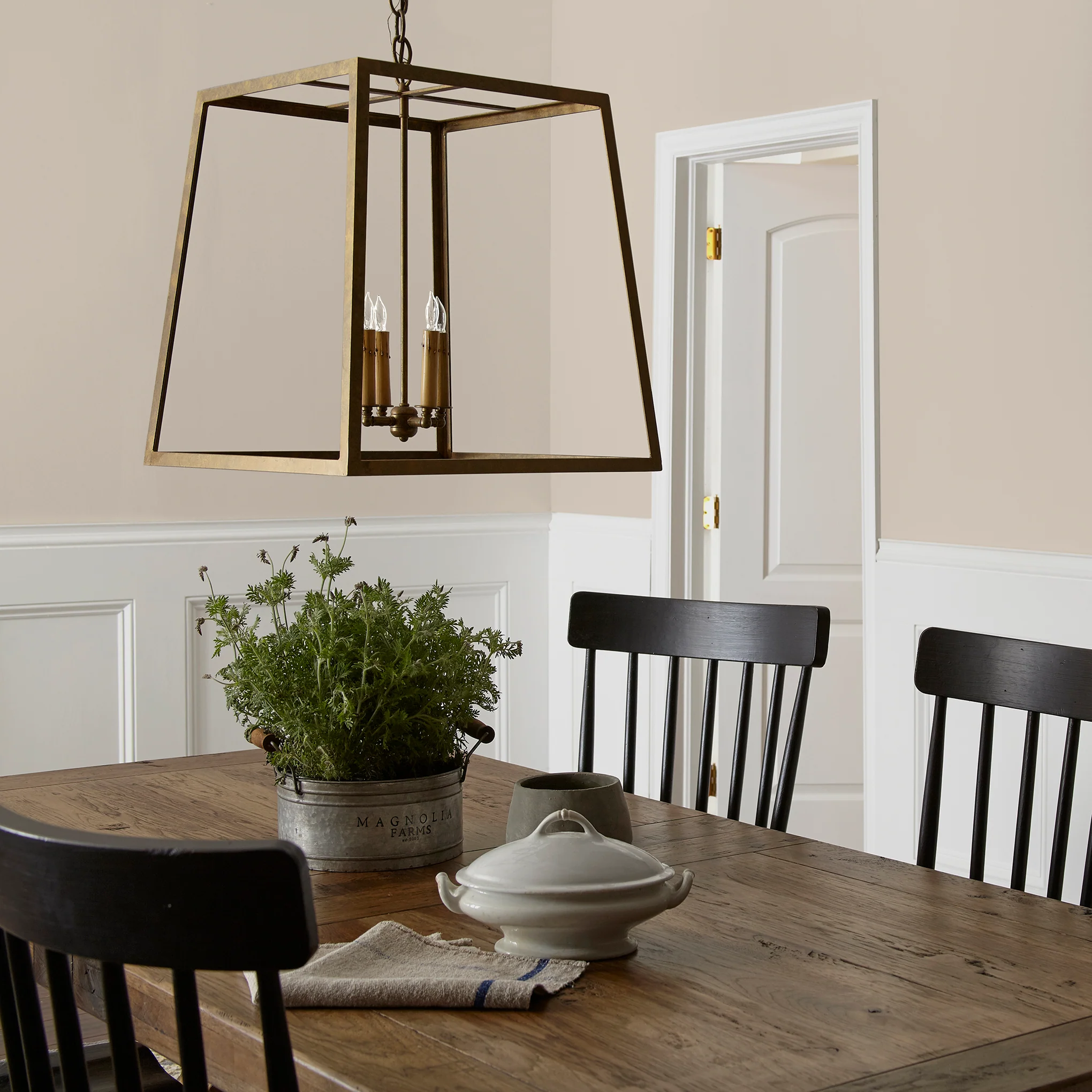 Southern Grown  -  Premium Interior Paint - Image 5