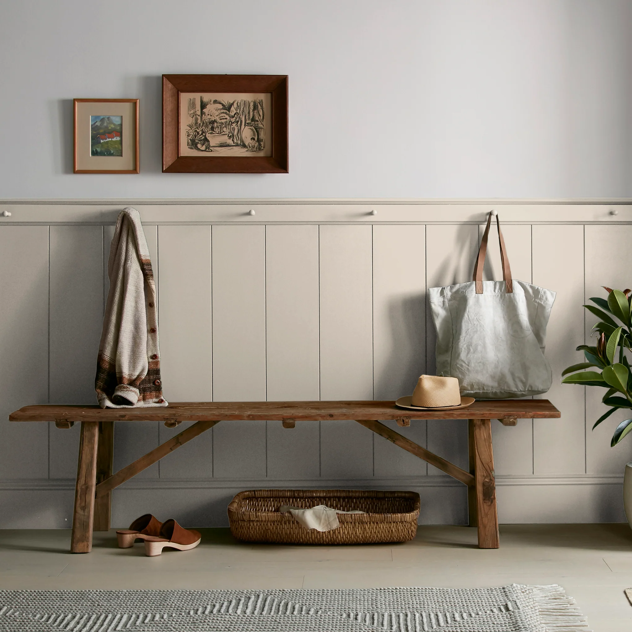 Southern Grown  -  Premium Interior Paint - Image 6