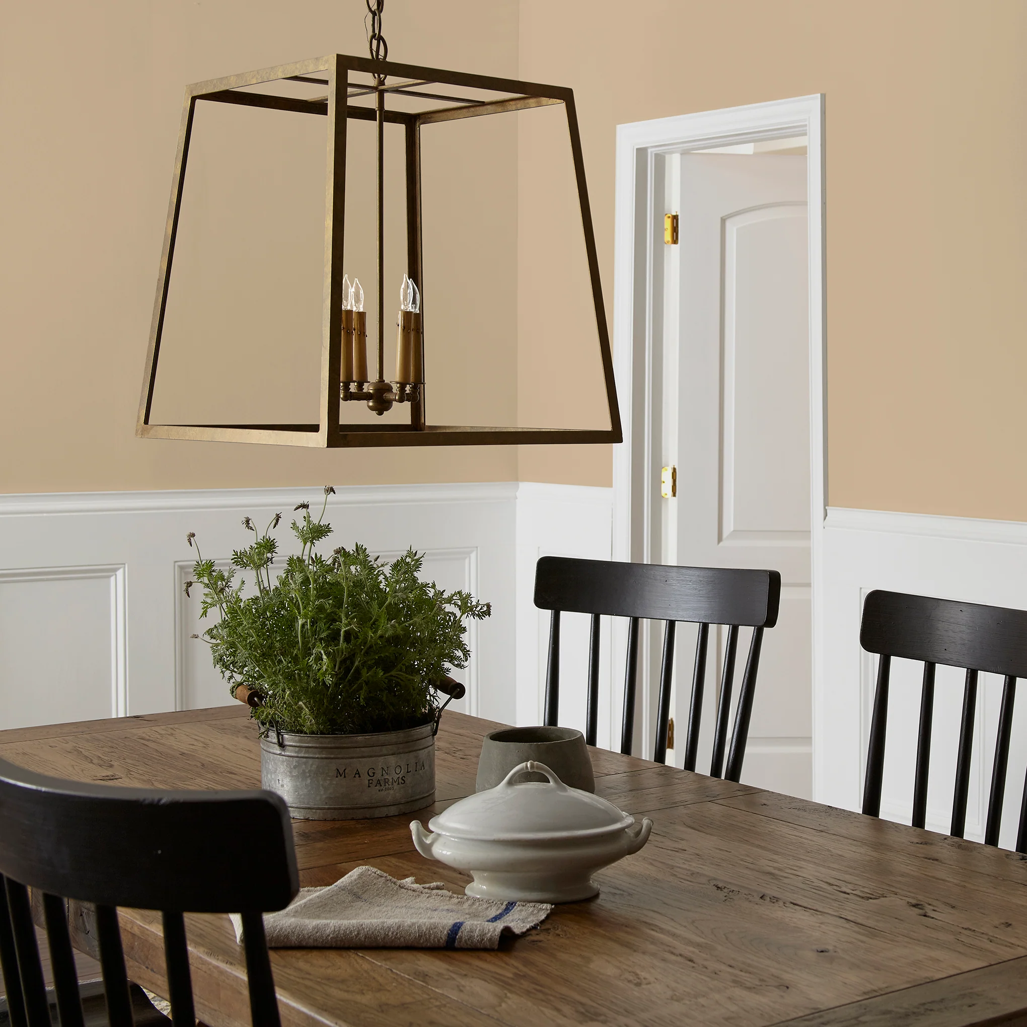 Summer Pear  -  Premium Interior Paint - Image 5