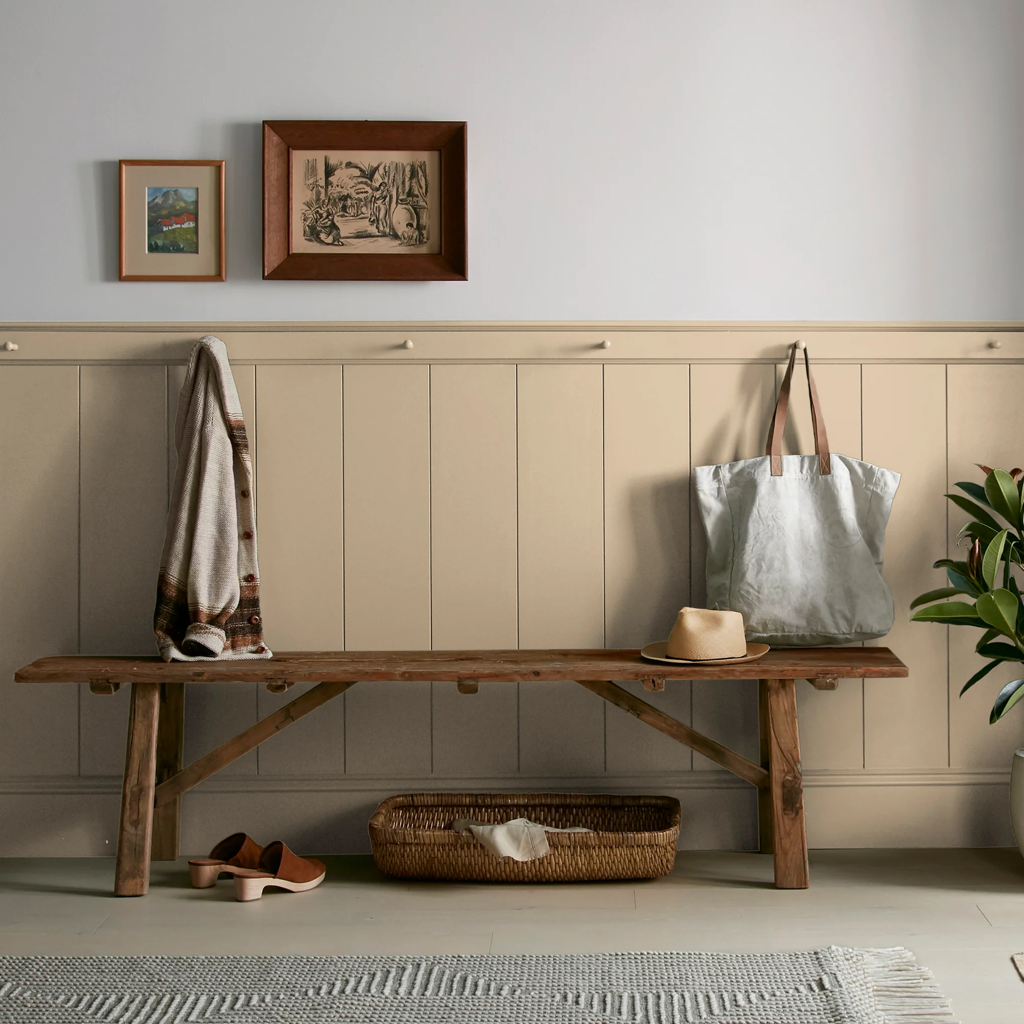 Summer Pear  -  Premium Interior Paint - Image 6