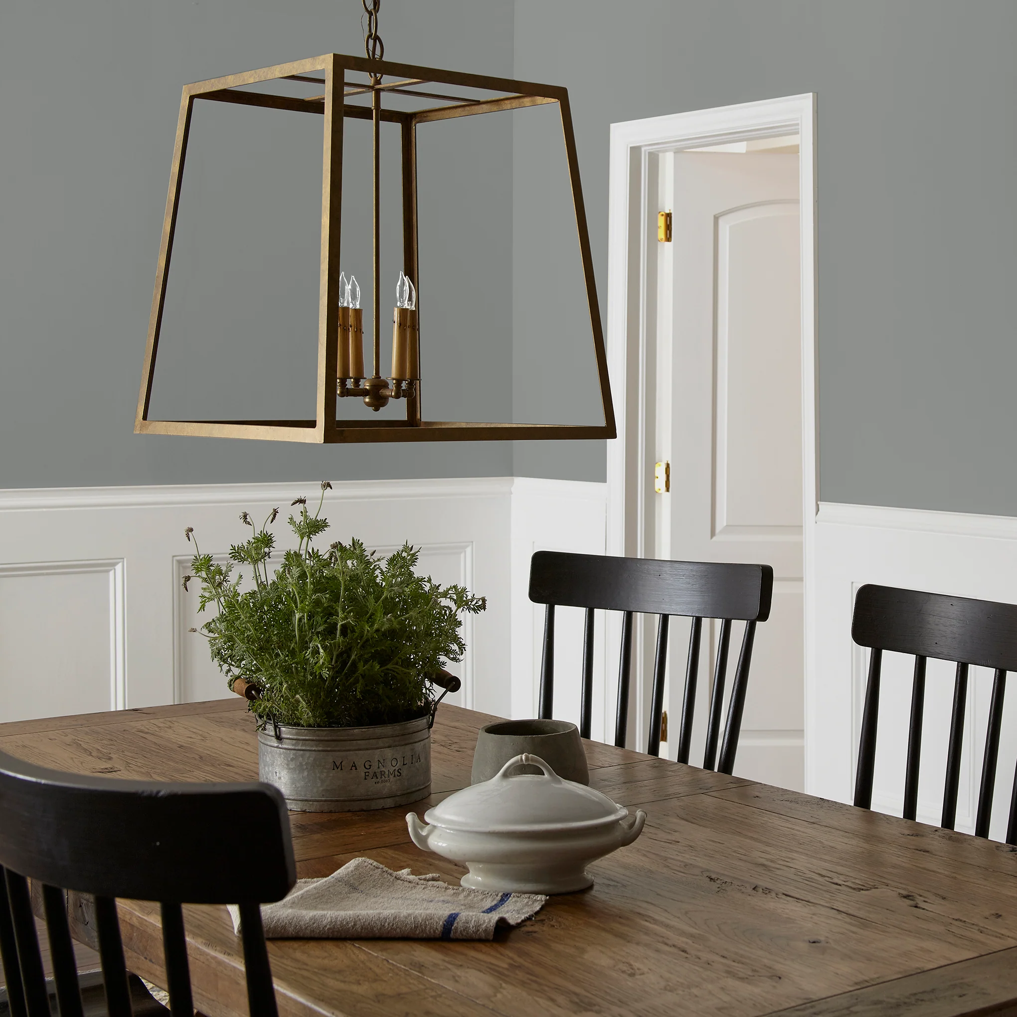 Teak Cups - Premium Interior Paint - Image 5