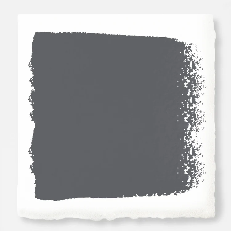 Texas Storm  -  Premium Interior Paint
