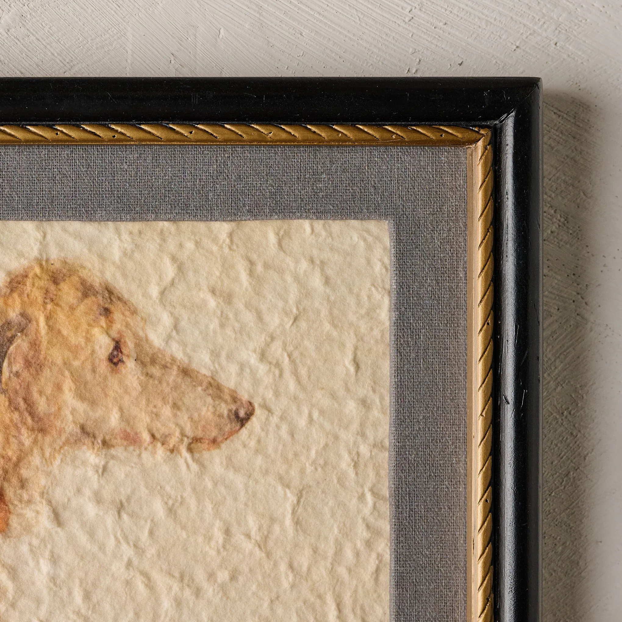 Timeless Companion - Image 3